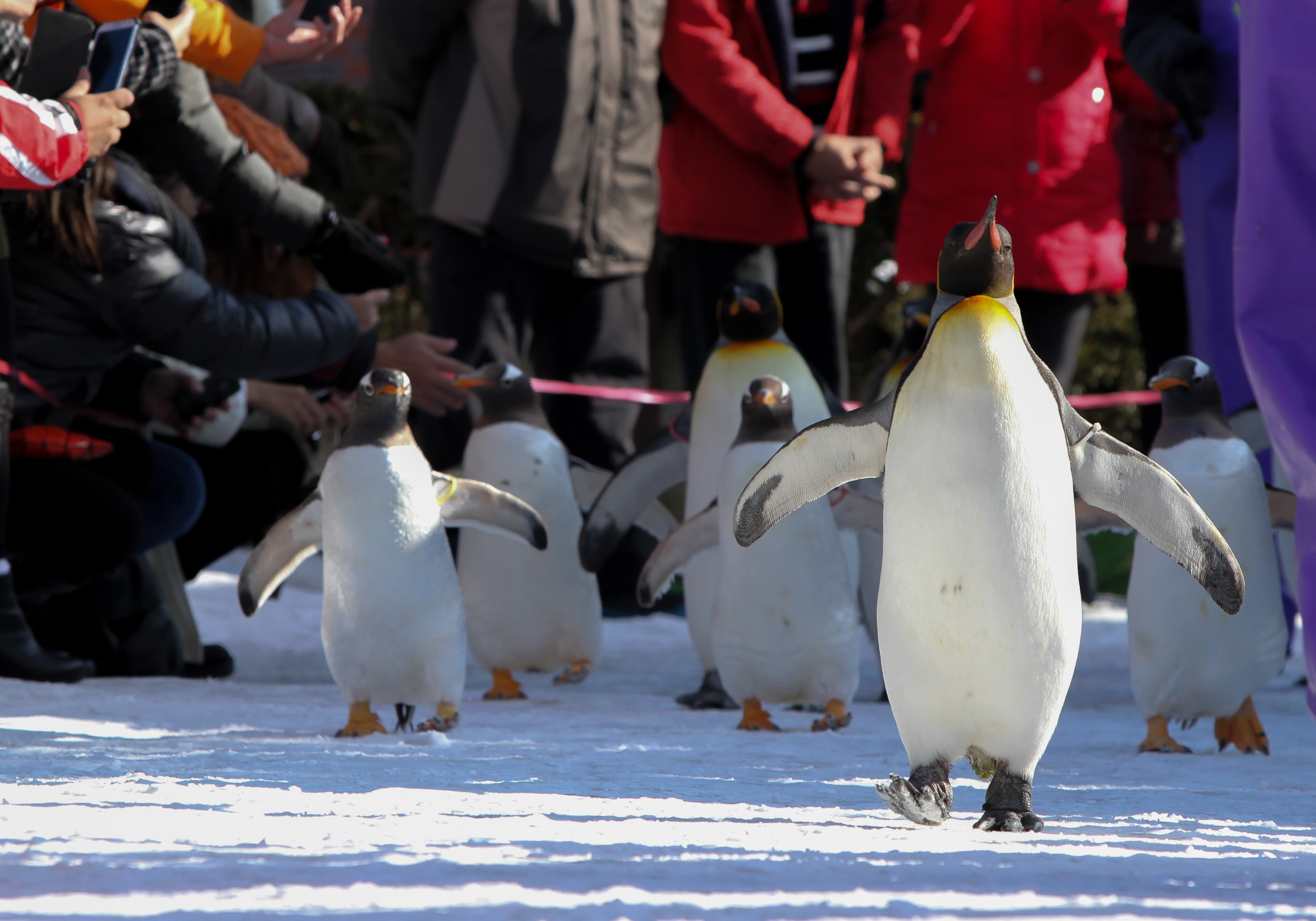 6D4N HOKKAIDO (NOBORIBETSU / LAKE TOYA / OTARU / SAPPORO)