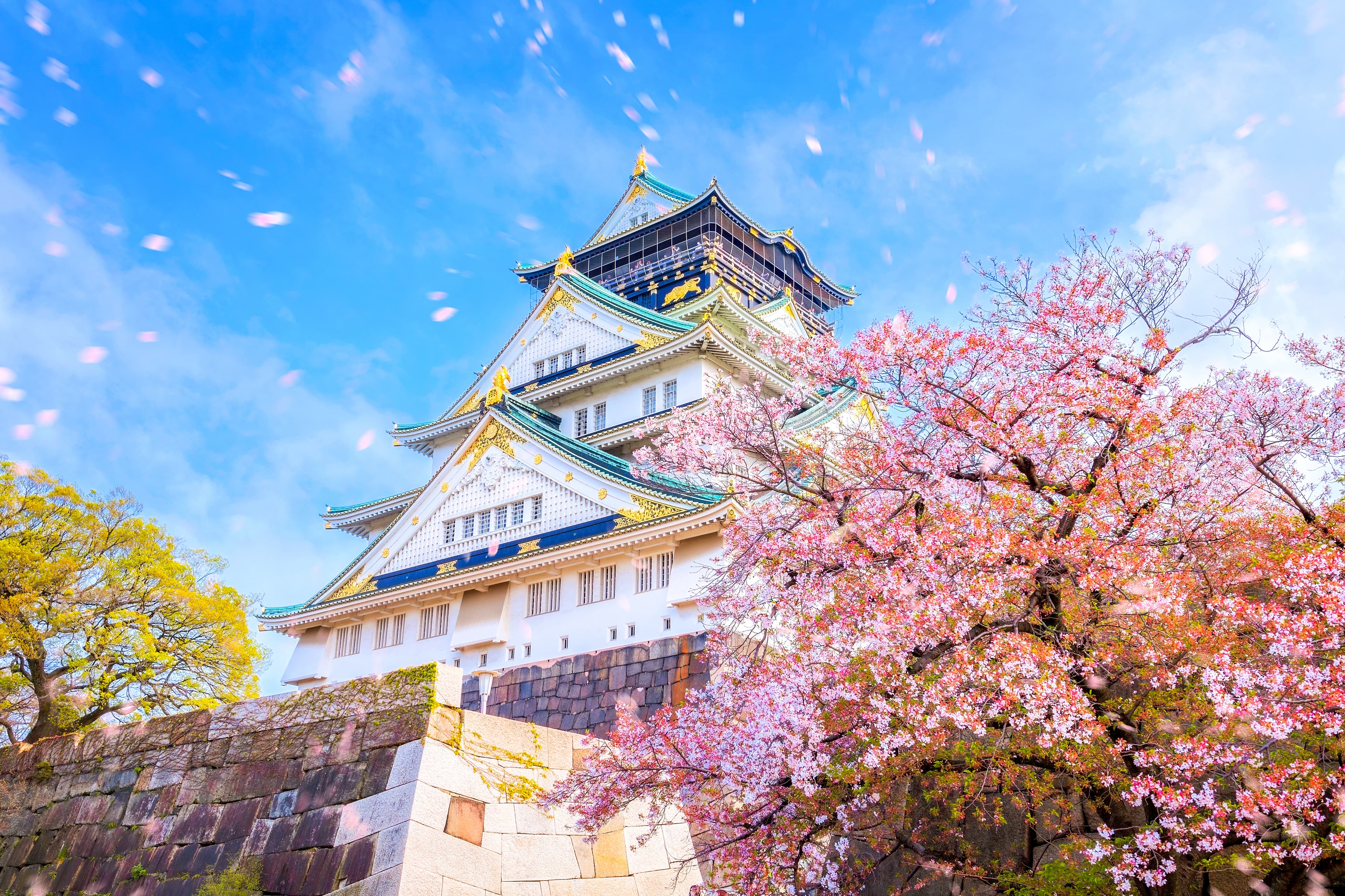7D5N SAKURA SPRING ROMANCE~TOKYO/HAKONE/FUJI/KYOTO/OSAKA +1 DAY FREE & EASY 