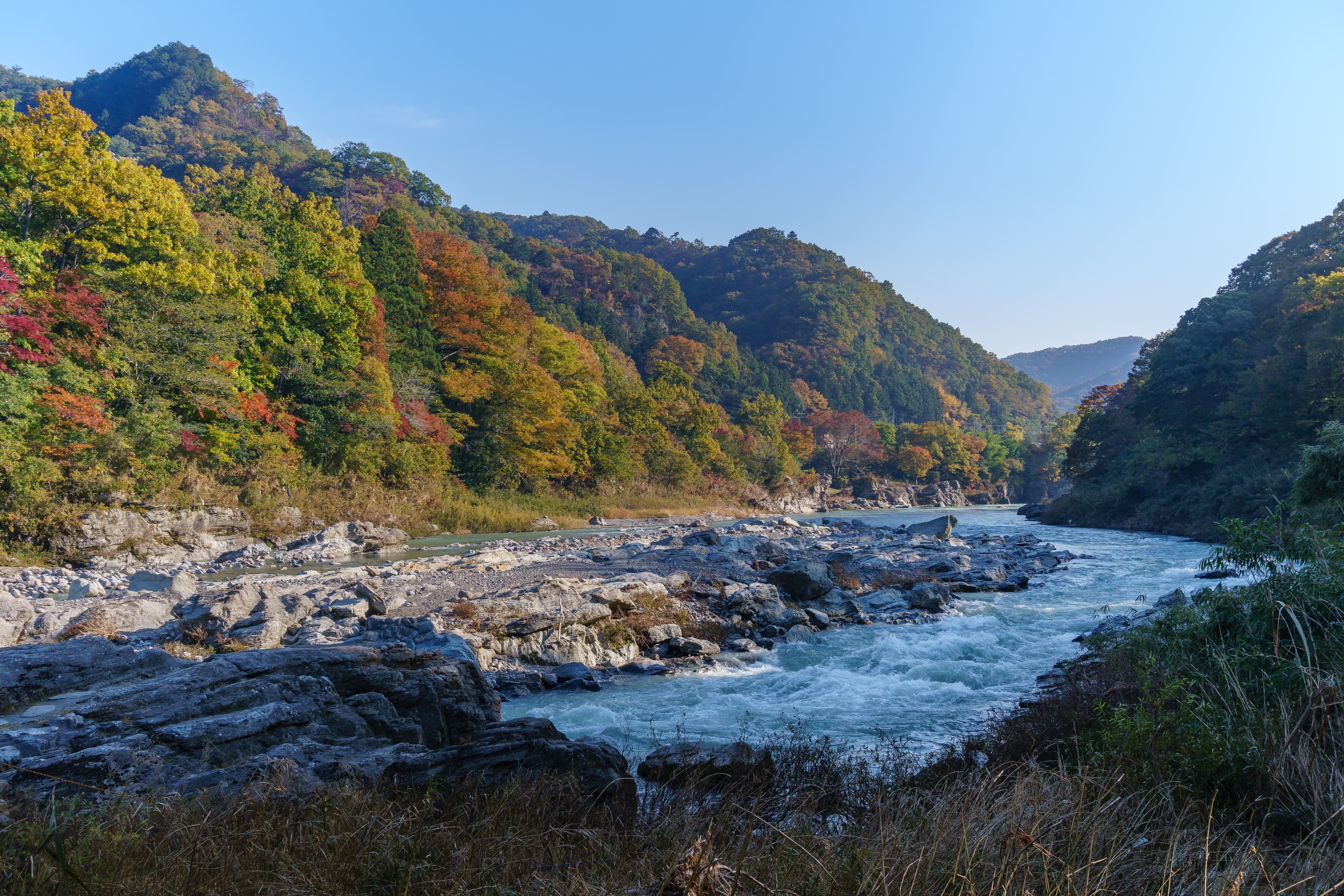 7D5N TOKYO の FLOWER BLOSSOM + 01 FREE DAY  (TOKYO/IBARAKI/GUNMA/MT. FUJI)