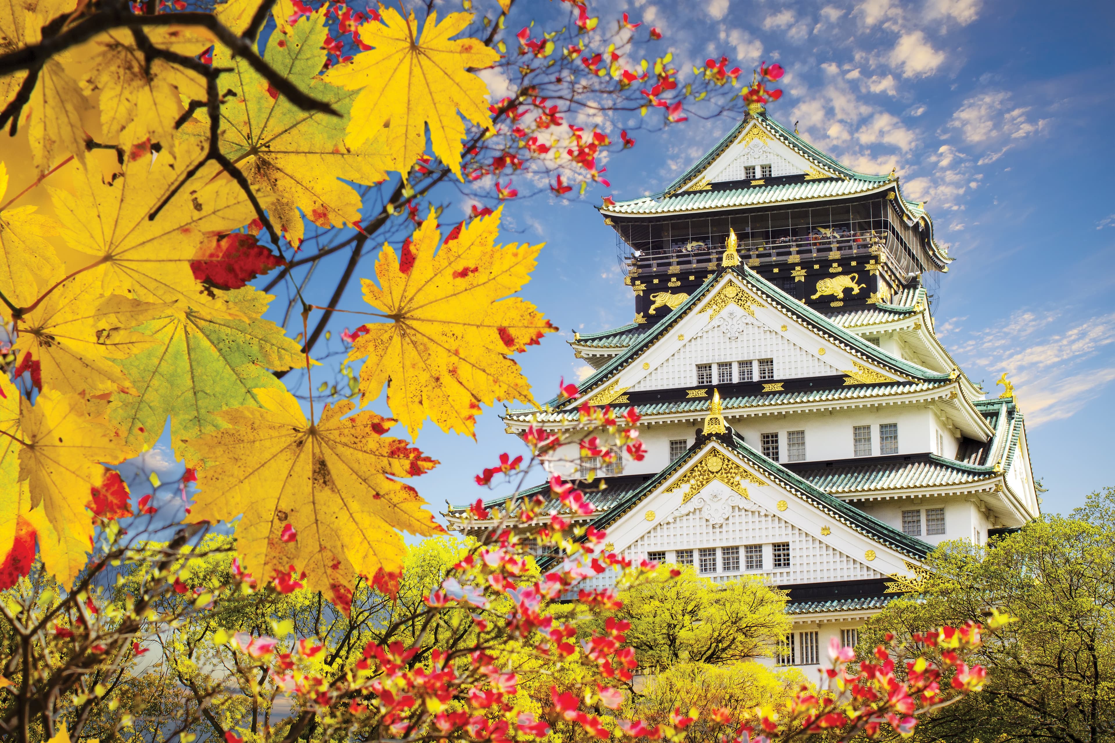 5D4N LEISURELY OSAKA / KYOTO / NARA + 1 DAY FREE & EASY