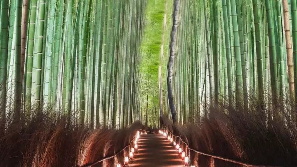 6D4N OSAKA/NARA/KYOTO