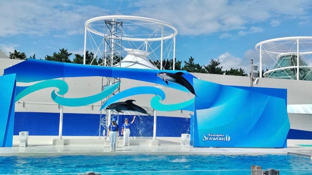 7D5N TOKYO/KAMAKURA/HAKONE/CHIBA + TOKYO DISNEYSEA + KAMOGAWA SEAWORLD + 1 FREE DAY