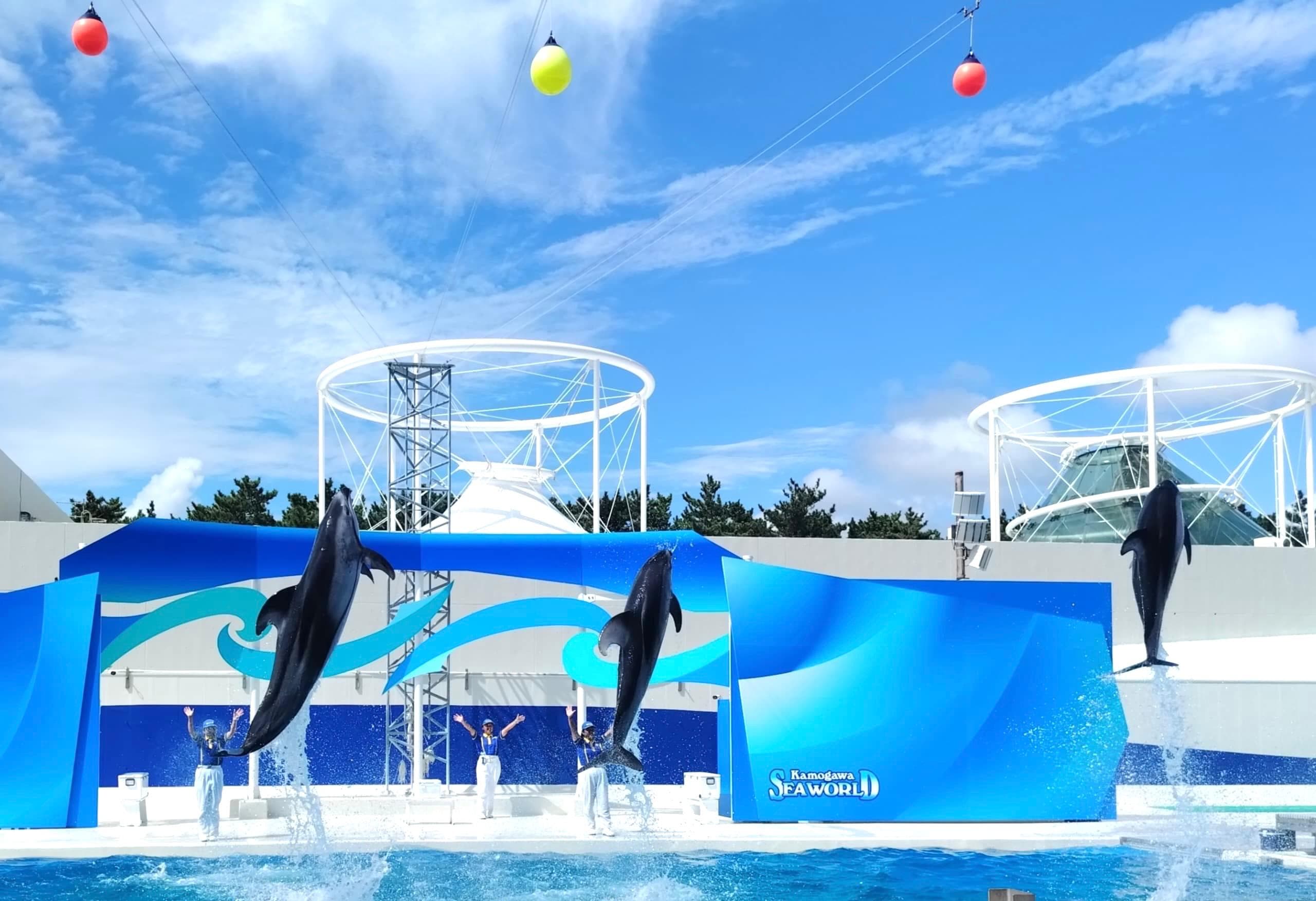 7D5N TOKYO/KAMAKURA/HAKONE/CHIBA + TOKYO DISNEYSEA + KAMOGAWA SEAWORLD + 1 FREE DAY