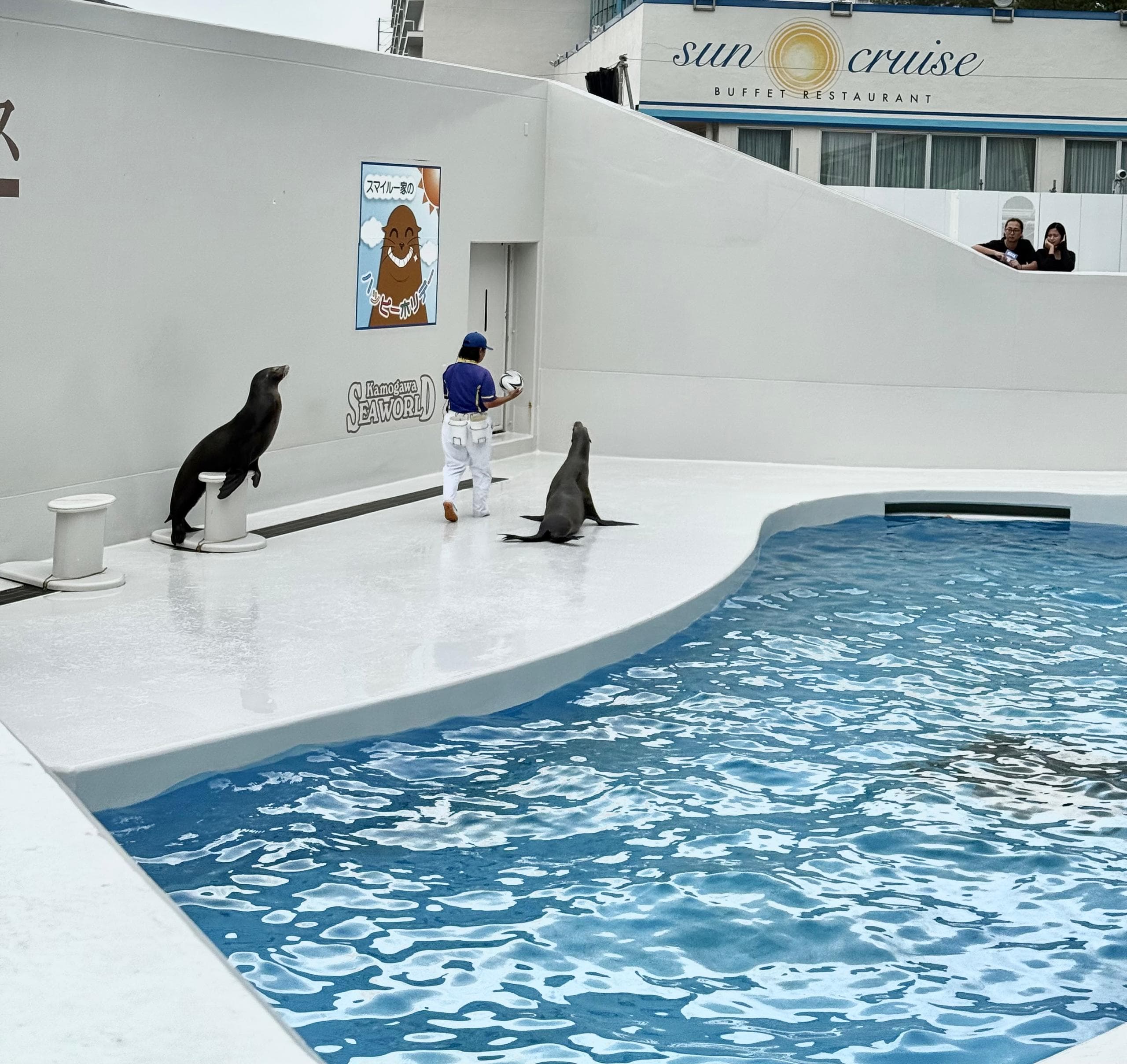 7D5N TOKYO/KAMAKURA/HAKONE/CHIBA + TOKYO DISNEYSEA + KAMOGAWA SEAWORLD + 1 FREE DAY