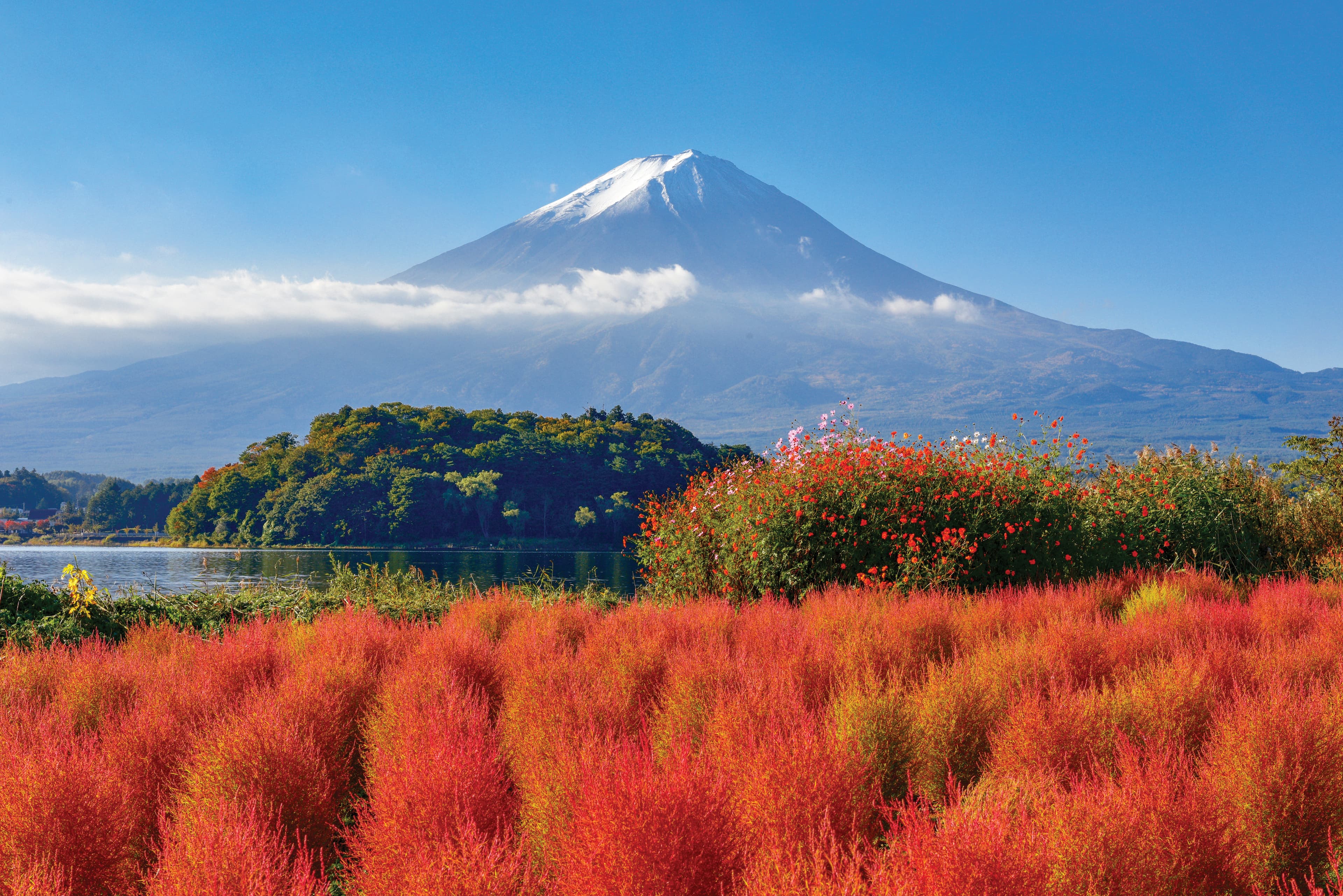 7D5N TOKYO/HAKONE/YAMANASHI/YOKOHAMA +01 FREE DAY 