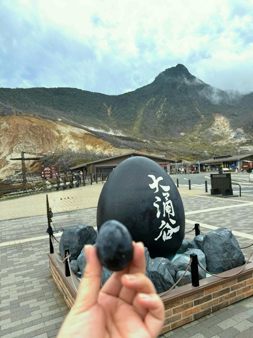 7D5N TOKYO/MT.FUJI/HAKONE/KAWAGOE 