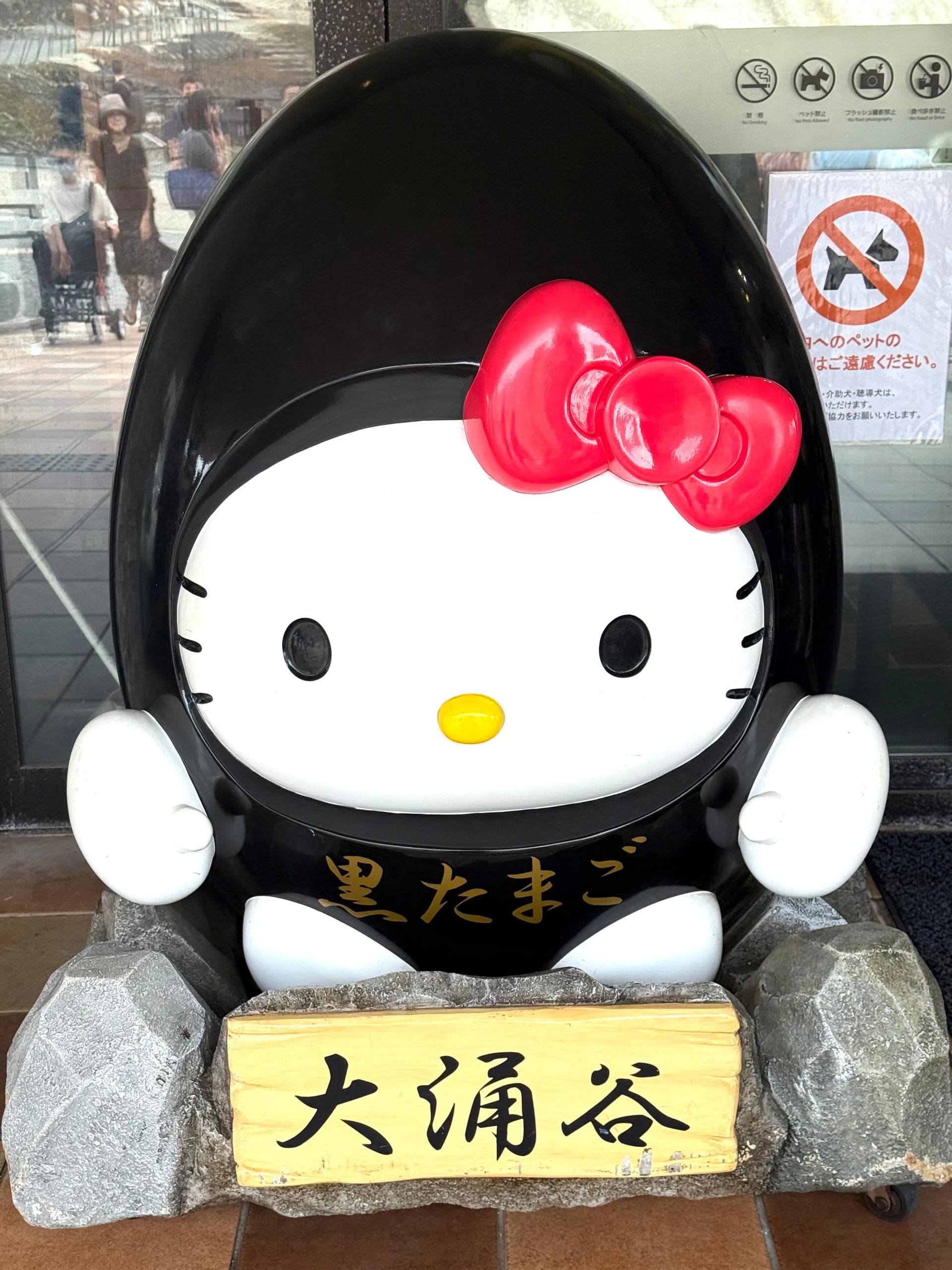 7D5N TOKYO/MT.FUJI/HAKONE/KAWAGOE 