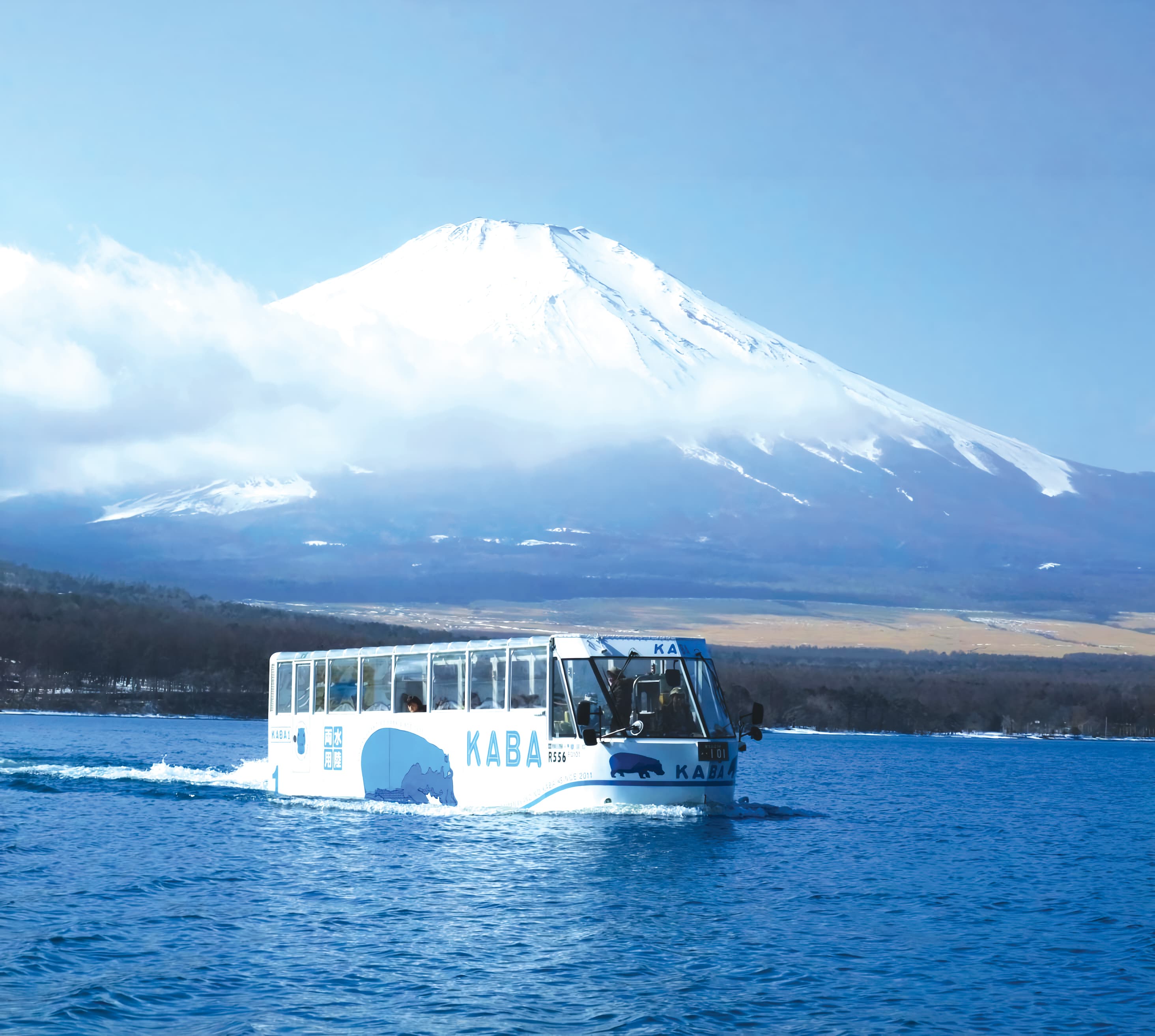 7D5N TOKYO/MT.FUJI/HAKONE/KAWAGOE 