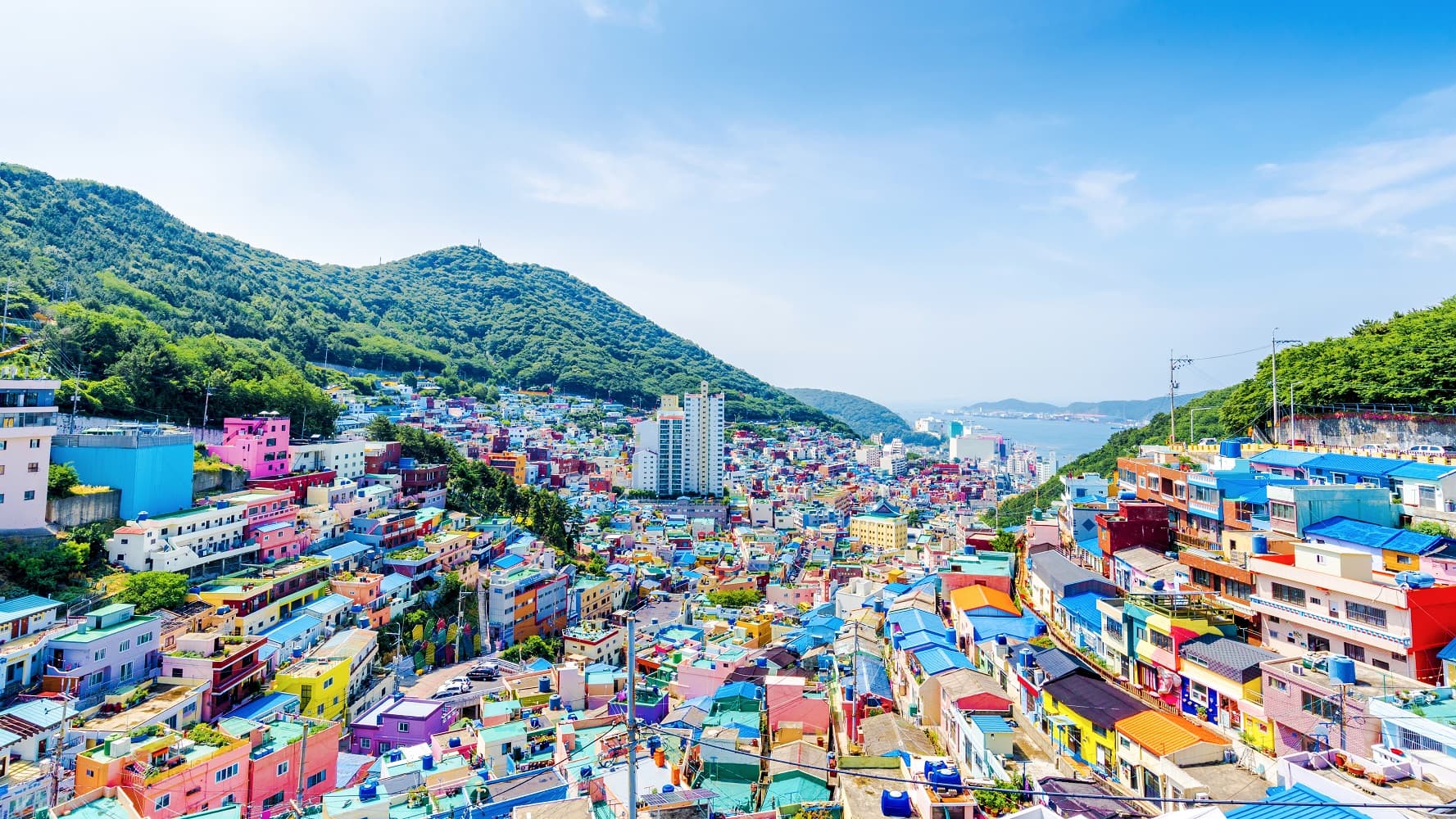 6D4N BUSAN+JINHAE SAKURA FESTIVAL (SEOUL-BUSAN BY KTX + BUSAN-SEOUL BY DOMESTIC FLIGHT)