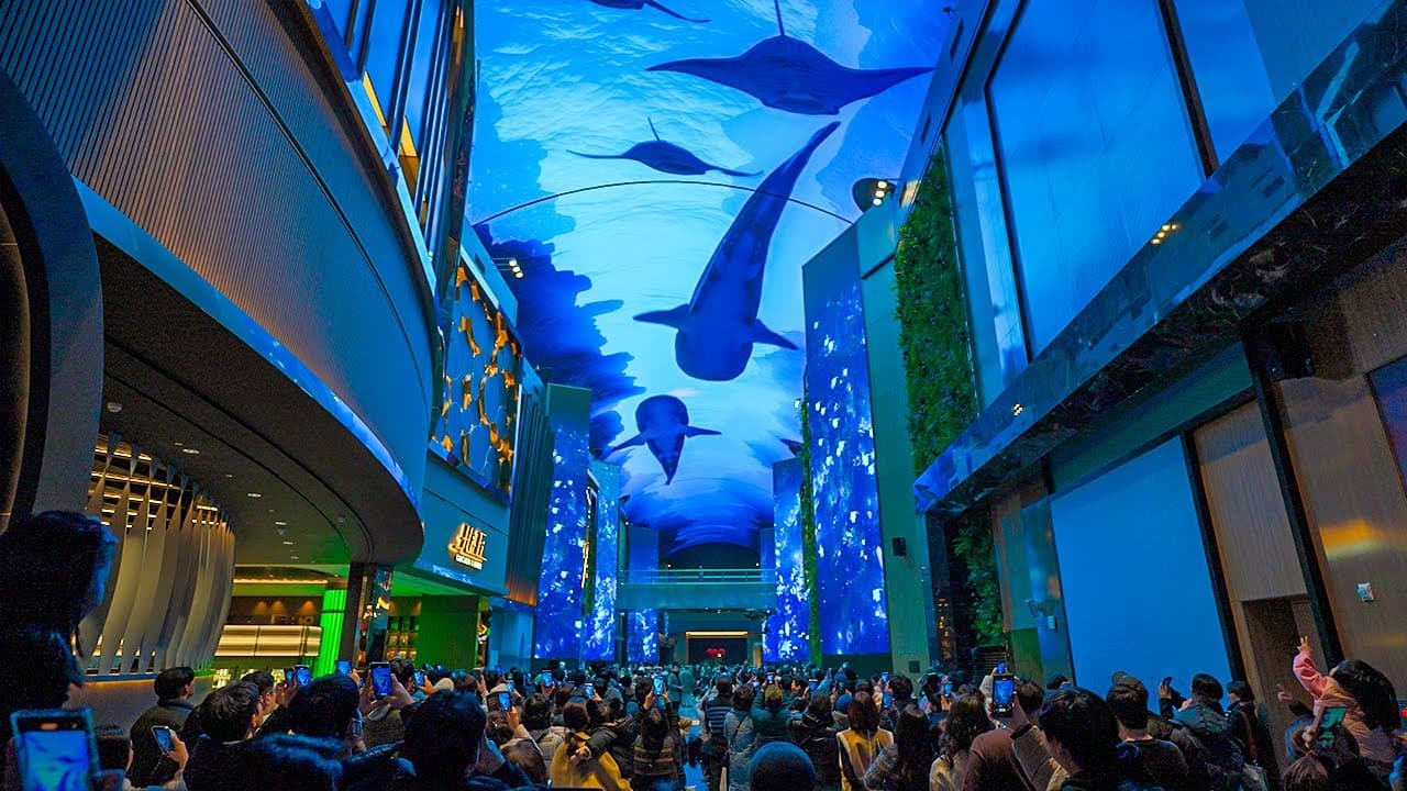 6D4N SEOUL/SONGWOL-DONG + 01 DAY FREE & EASY 