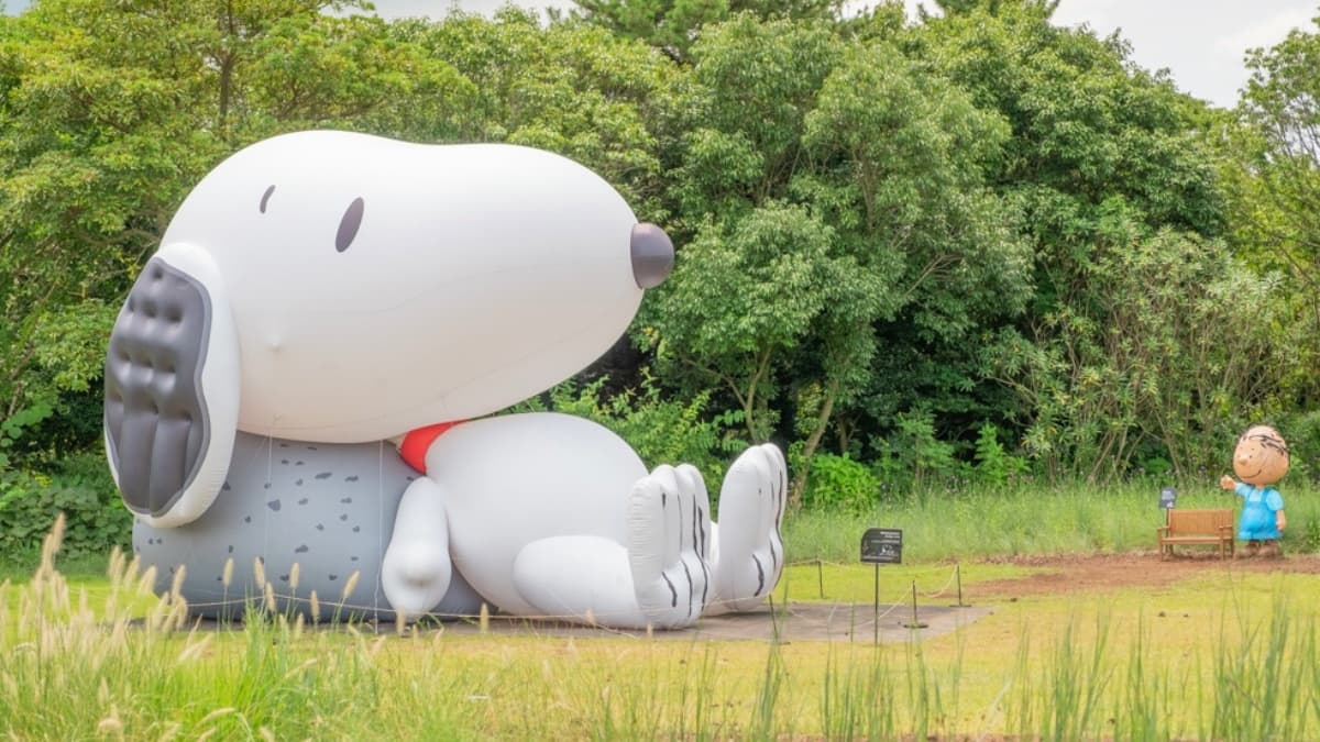 8D6N SEOUL/ JEJU ISLAND/ ALPACA WORLD/ NAMI ISLAND/ MOUNT SORAK/ EVERLAND