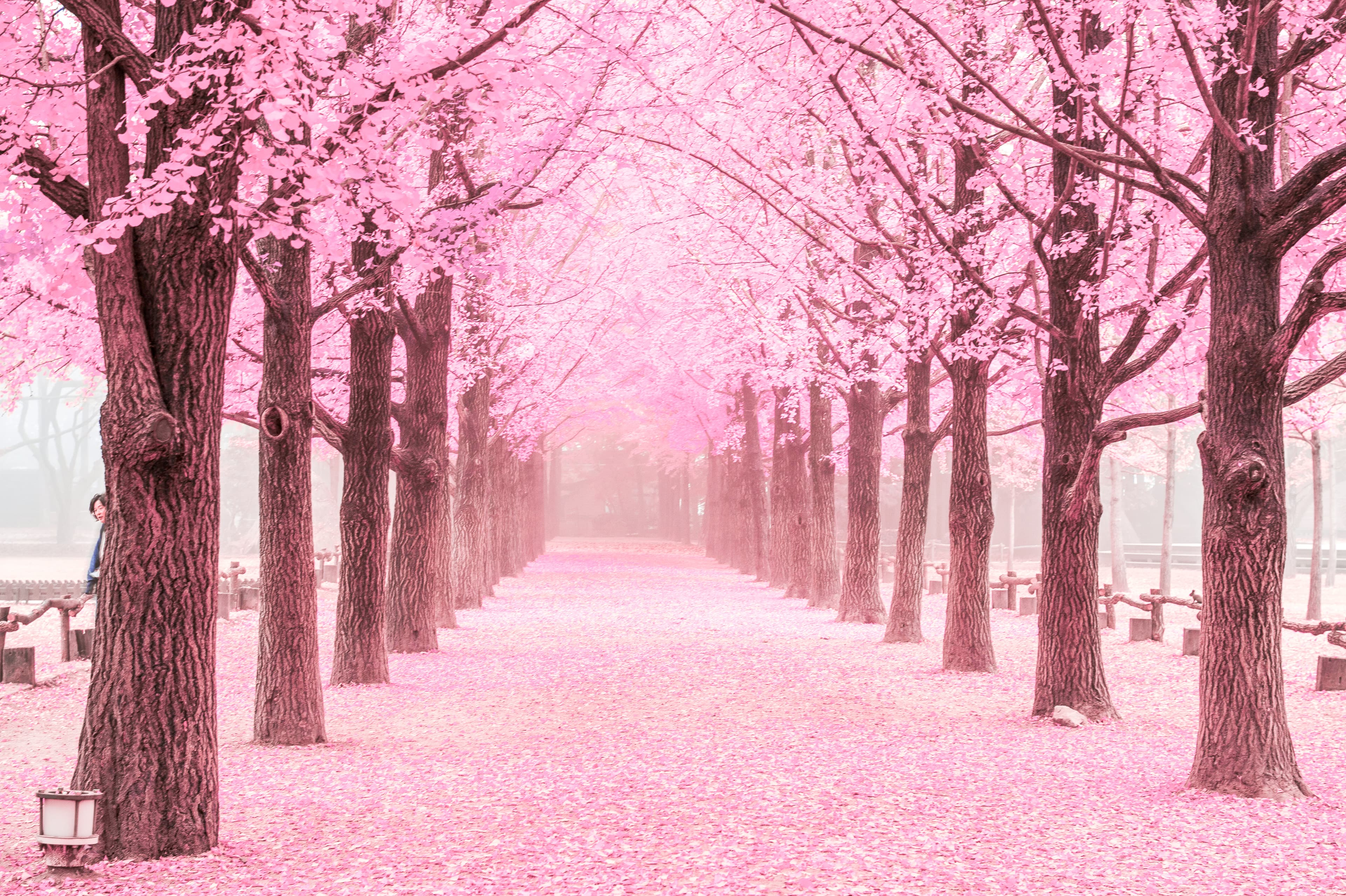 6D4N DISCOVER KOREA, A PERFECT BLEND OF NATURE AND URBAN LIFE