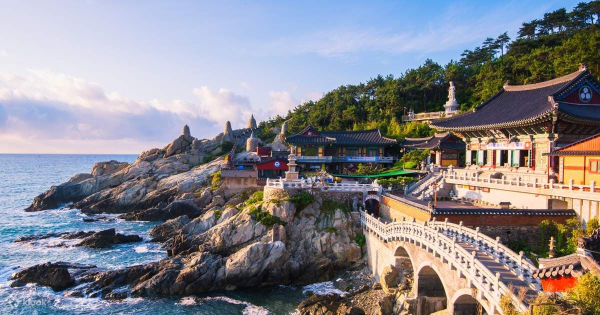 8D6N BUSAN/ DAEGU/ SEOUL+JINHAE SAKURA FESTIVAL (SEOUL-BUSAN BY KTX)