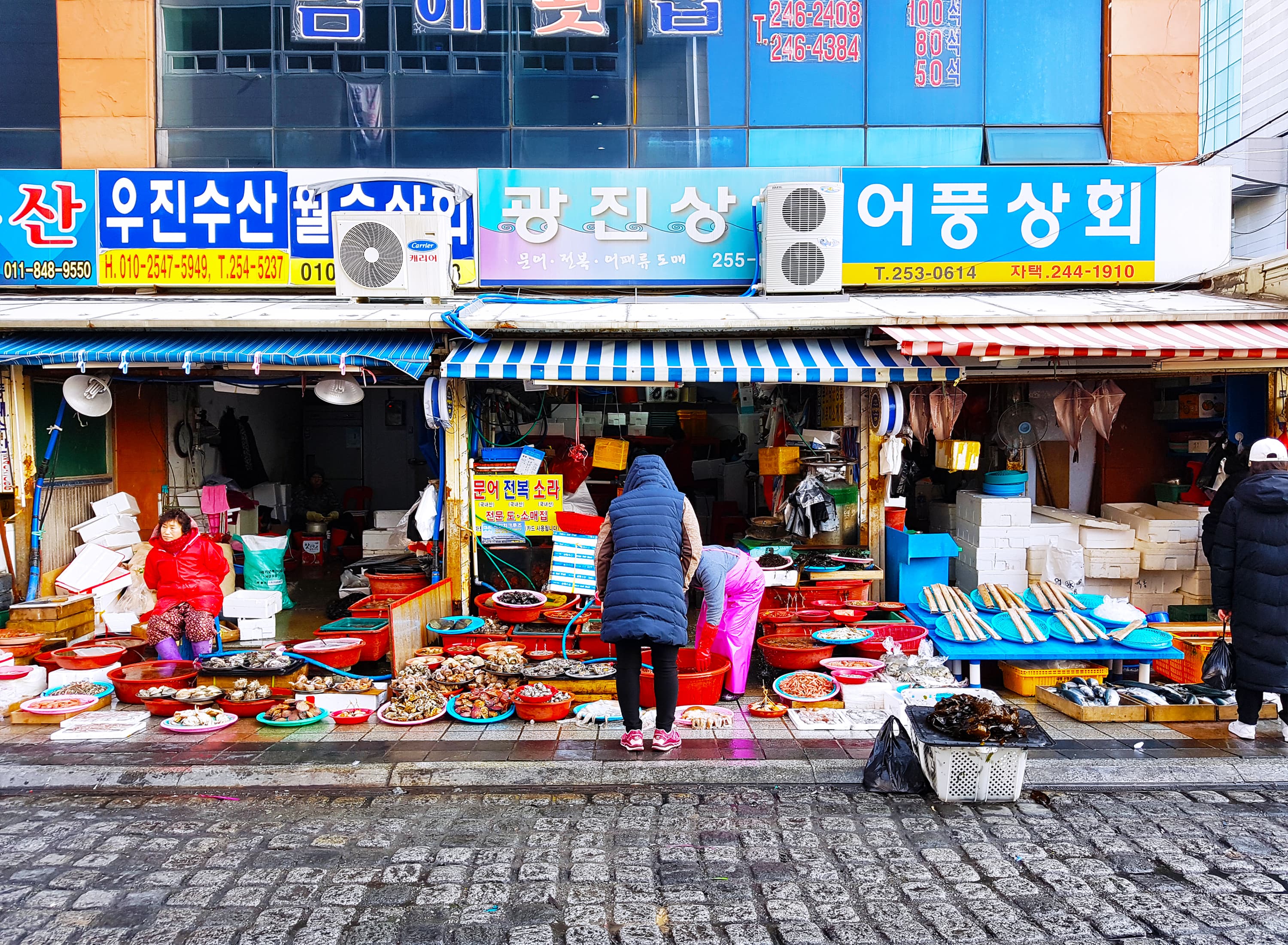 8D6N SYMPHONY OF KOREA~ BUSAN/GYEONGJU/SEOUL+EVERLAND