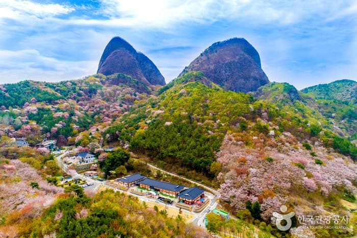 6D4N SEOUL/JEONJU/ALPACA WORLD (MT. MAISAN PROVINCIAL PARK/RED GINSENG FOOT BATH/JJIMJILBANG)