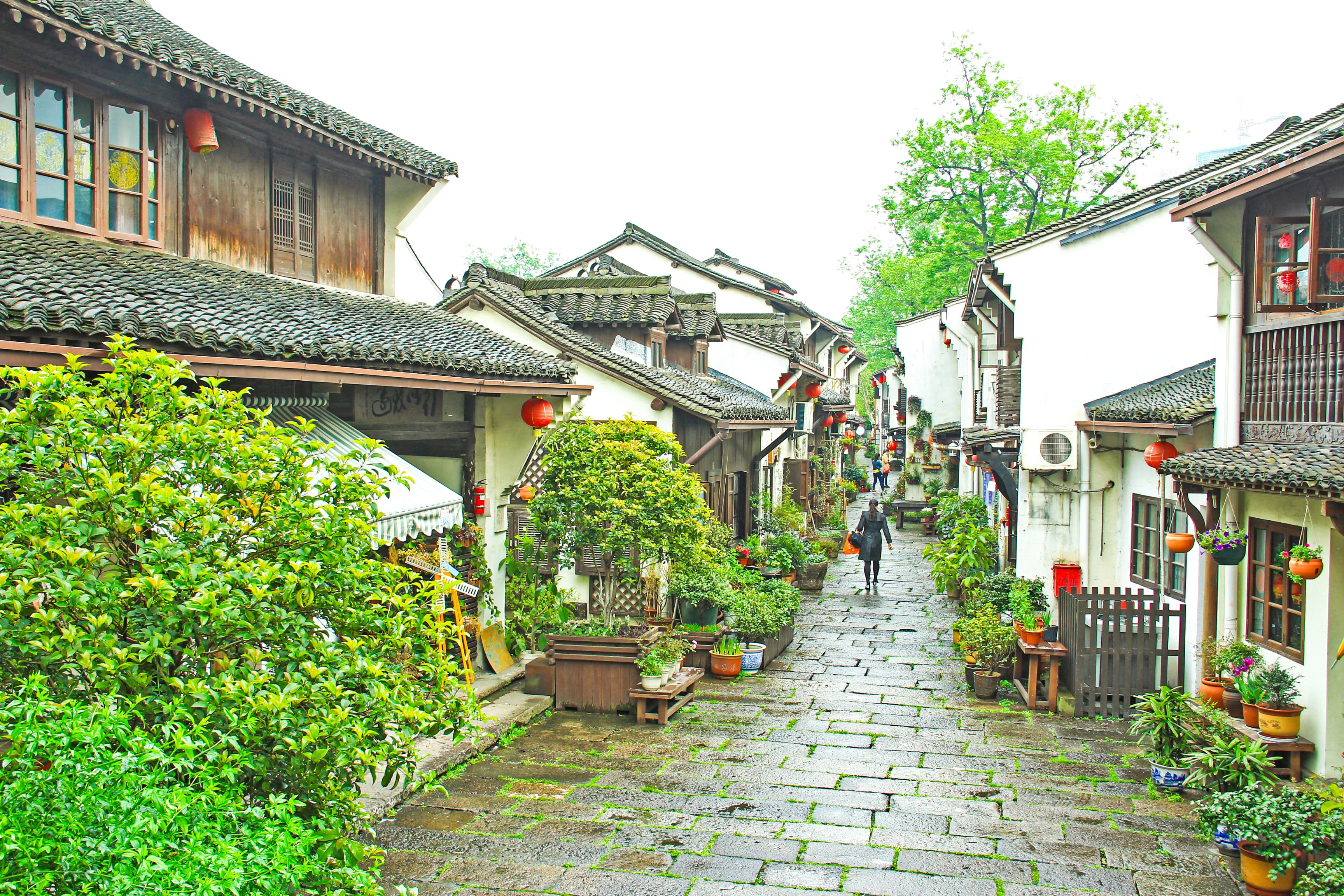 7D5N BLOOMING JIANGNAN~HANGZHOU/WUXI/SUZHOU/SHANGHAI/WUZHEN