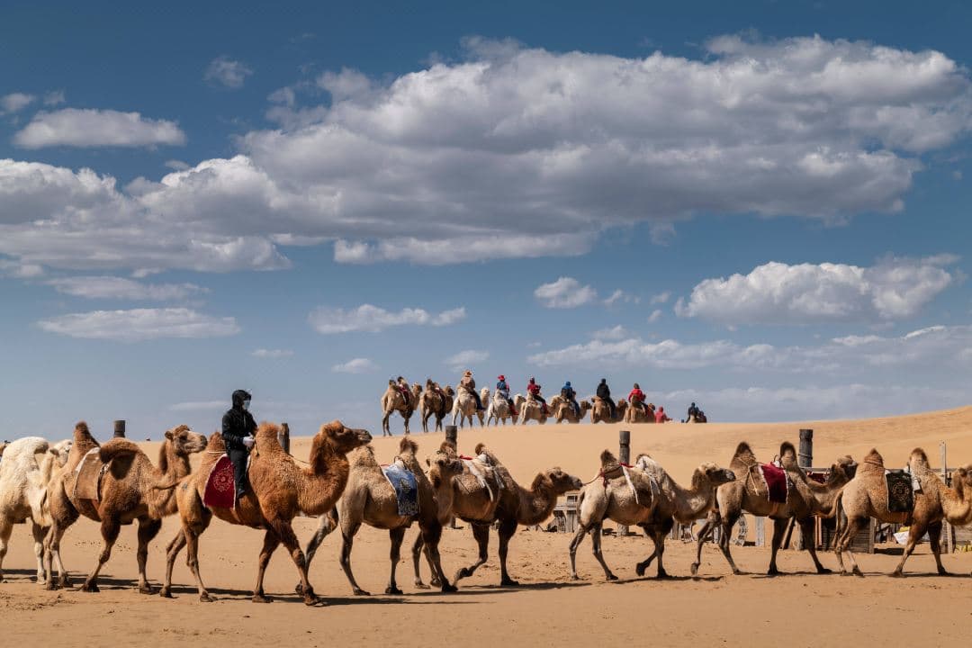 9D7N INNER MONGOLIA – ORDOS/ LAONIUWAN GRAND CANYON/ XIANGSHA BAY/ HUITENGXILE GRASSLAND