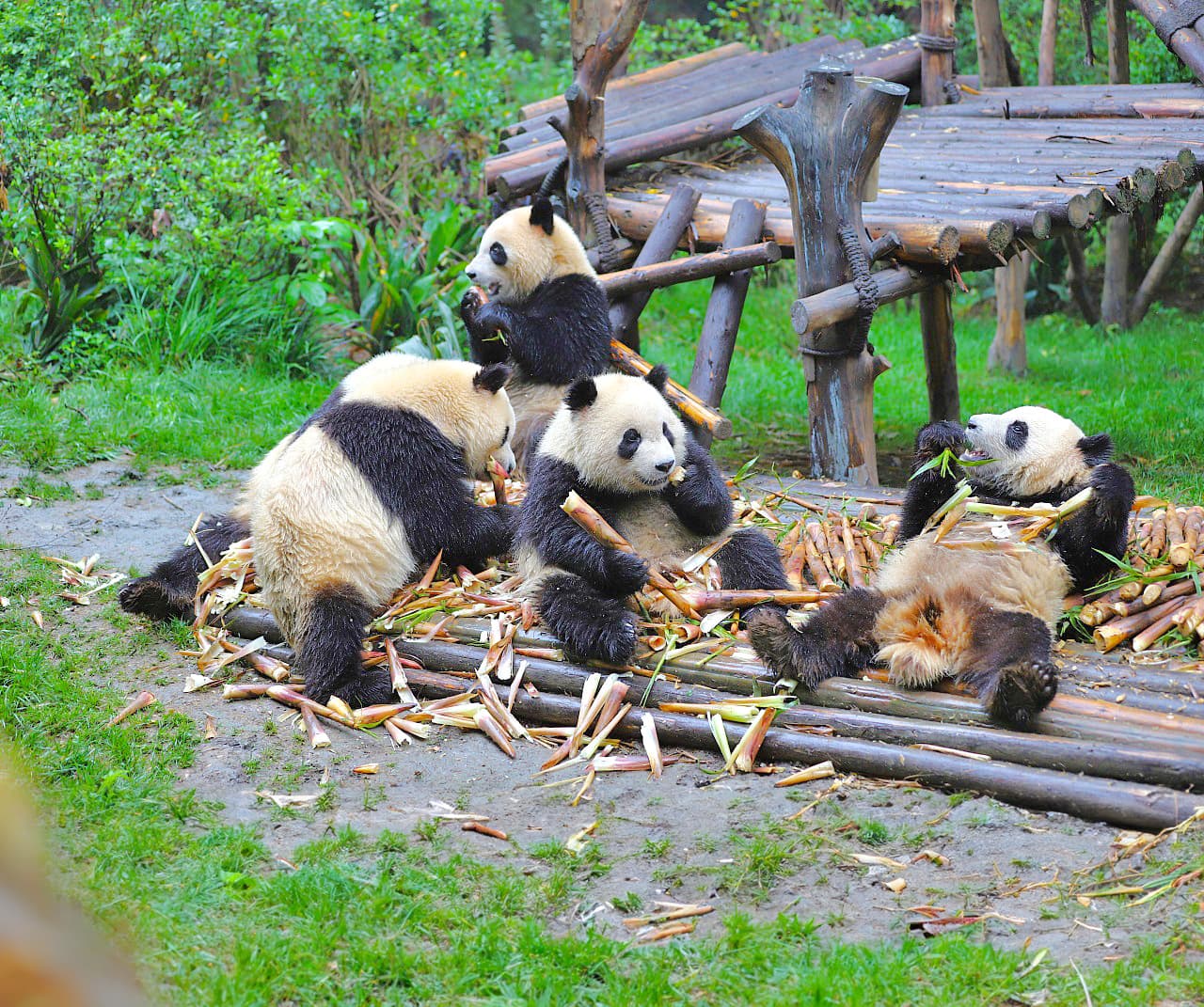 8D7N A THREE-PROVINCE JOURNEY THROUGH SOUTHWEST CHINA~CHENGDU/CHONGQING/GUIZHOU