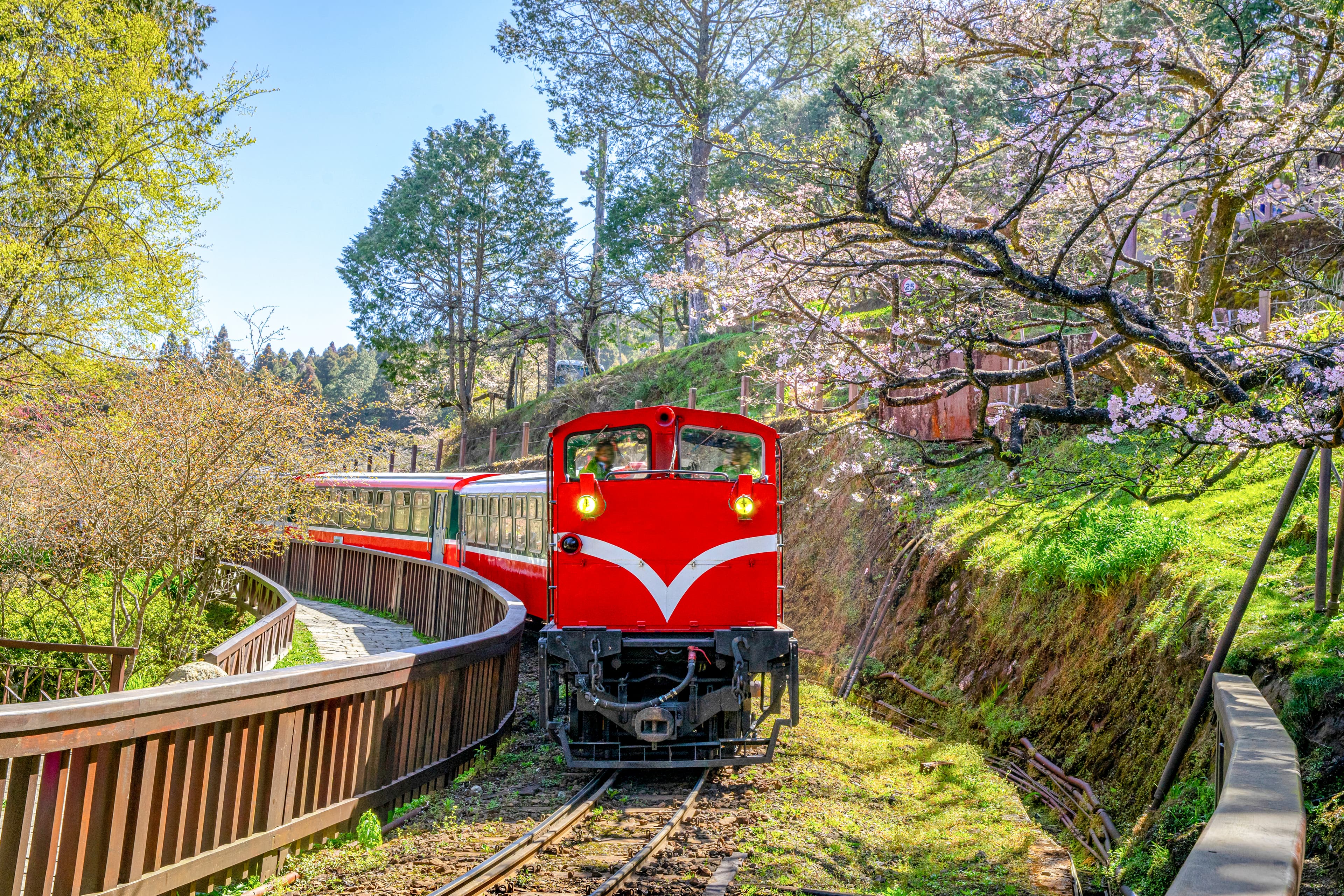 5D4N DISCOVER TAIWAN, EMBRACE THE ROMANCE OF THE MOUNTAINS
(TAIPEI / TAICHUNG / JIAYI)