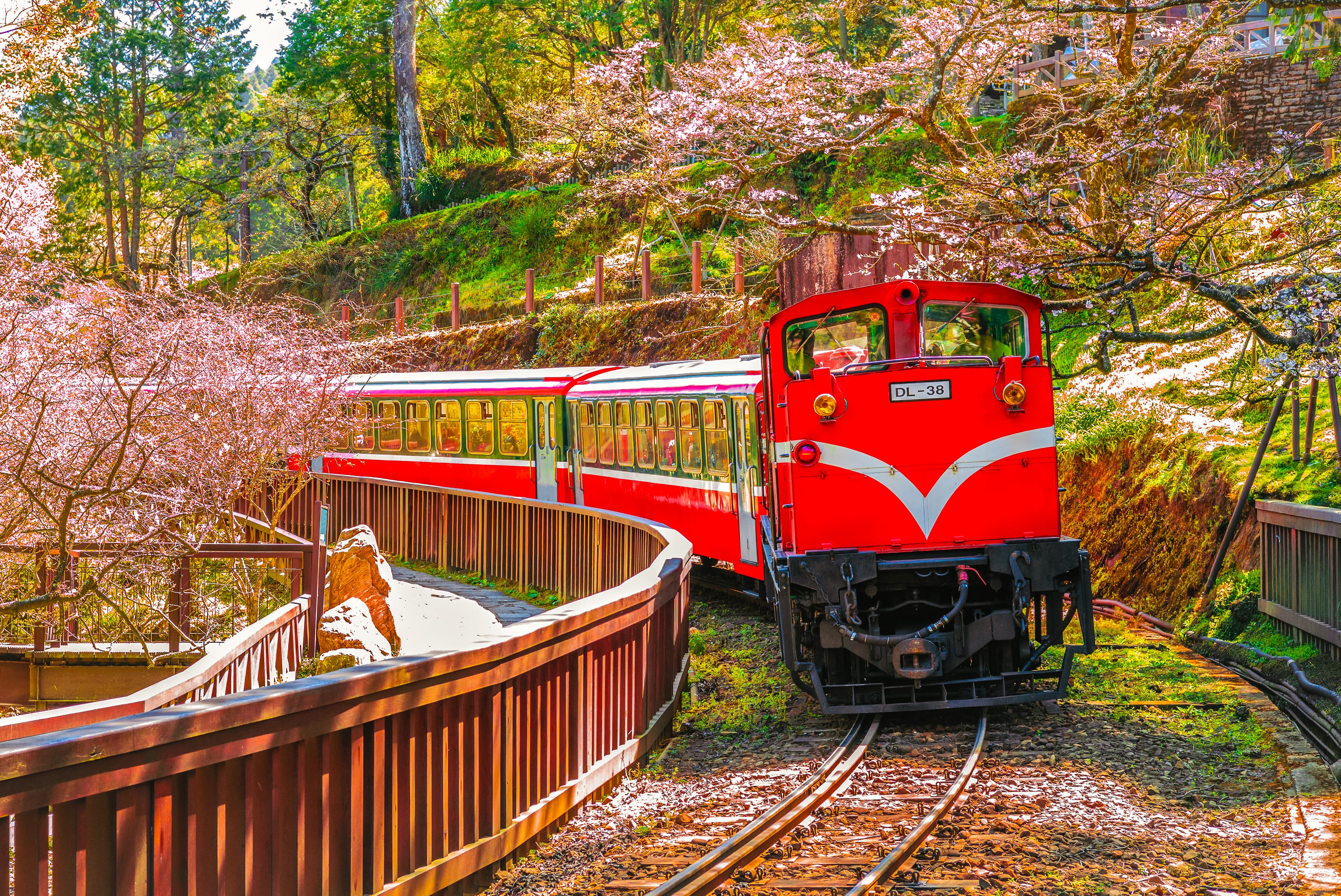 6D5N KAOHSIUNG/ TAINAN/ CHIAYI + STAY 01 NIGHT ALISHAN (ALISHAN FOREST RAILWAY AND SUNRISE)