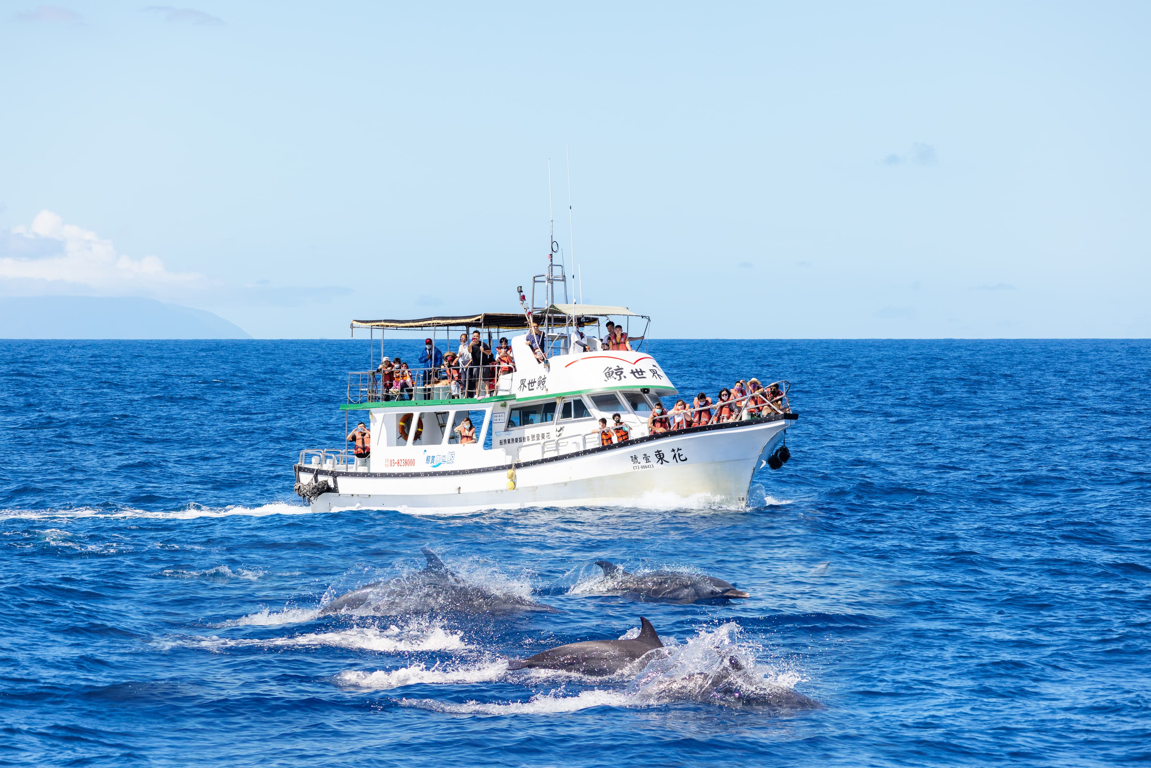 7D6N HUALIEN-KAOHSIUNG-TAINAN-TAICHUNG-TAIPEI -- ENCHANTED ISLAND & WHALE WATCHING JOURNEY 