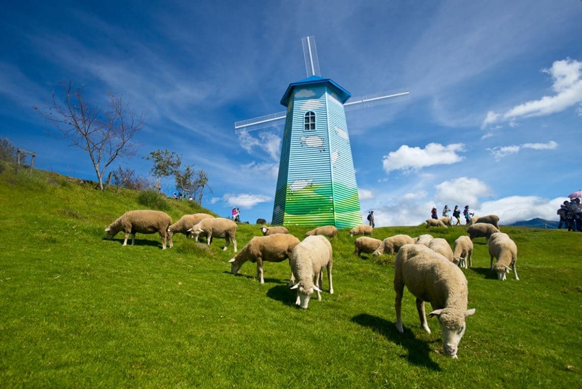 7D6N TAIPEI/HSINCHU/NANTOU/TAICHUNG (QINGJING FARM+THEME PARK+DIY EXPERIENCE) 