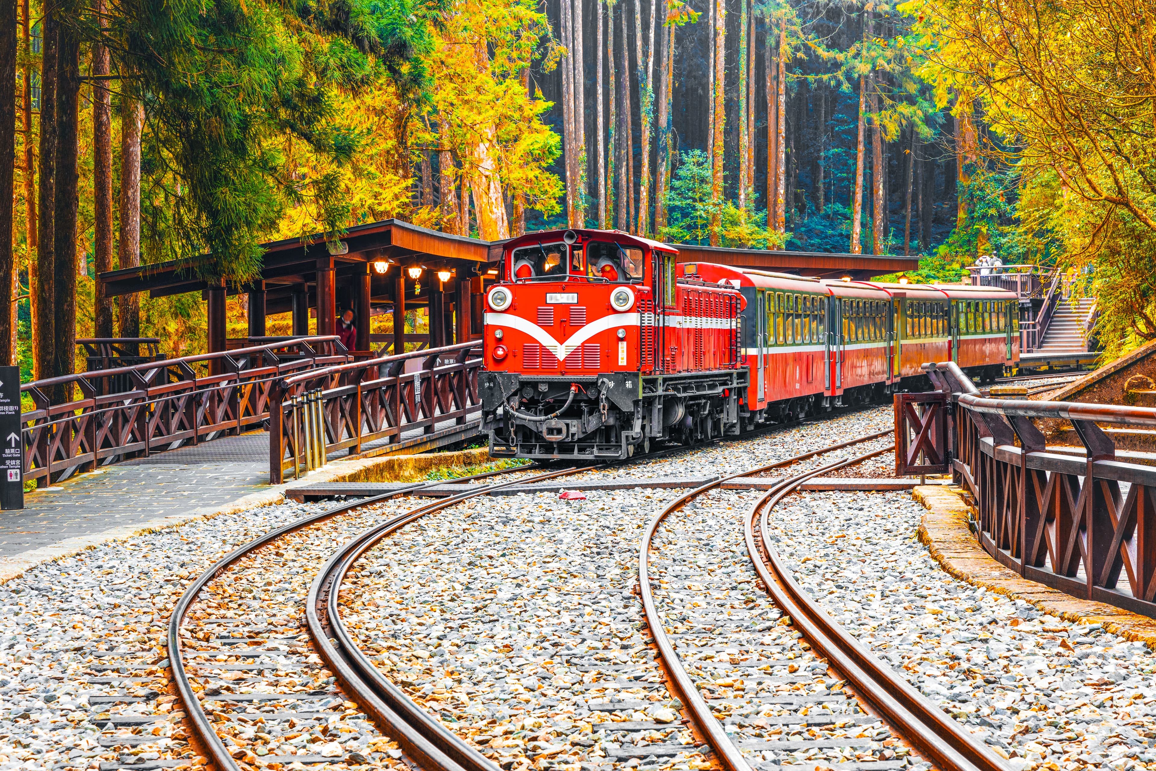 5D4N TAIPEI / TAICHUNG / NANTOU / CHIAYI + ALISHAN FOREST RAILWAY AND SUNRISE