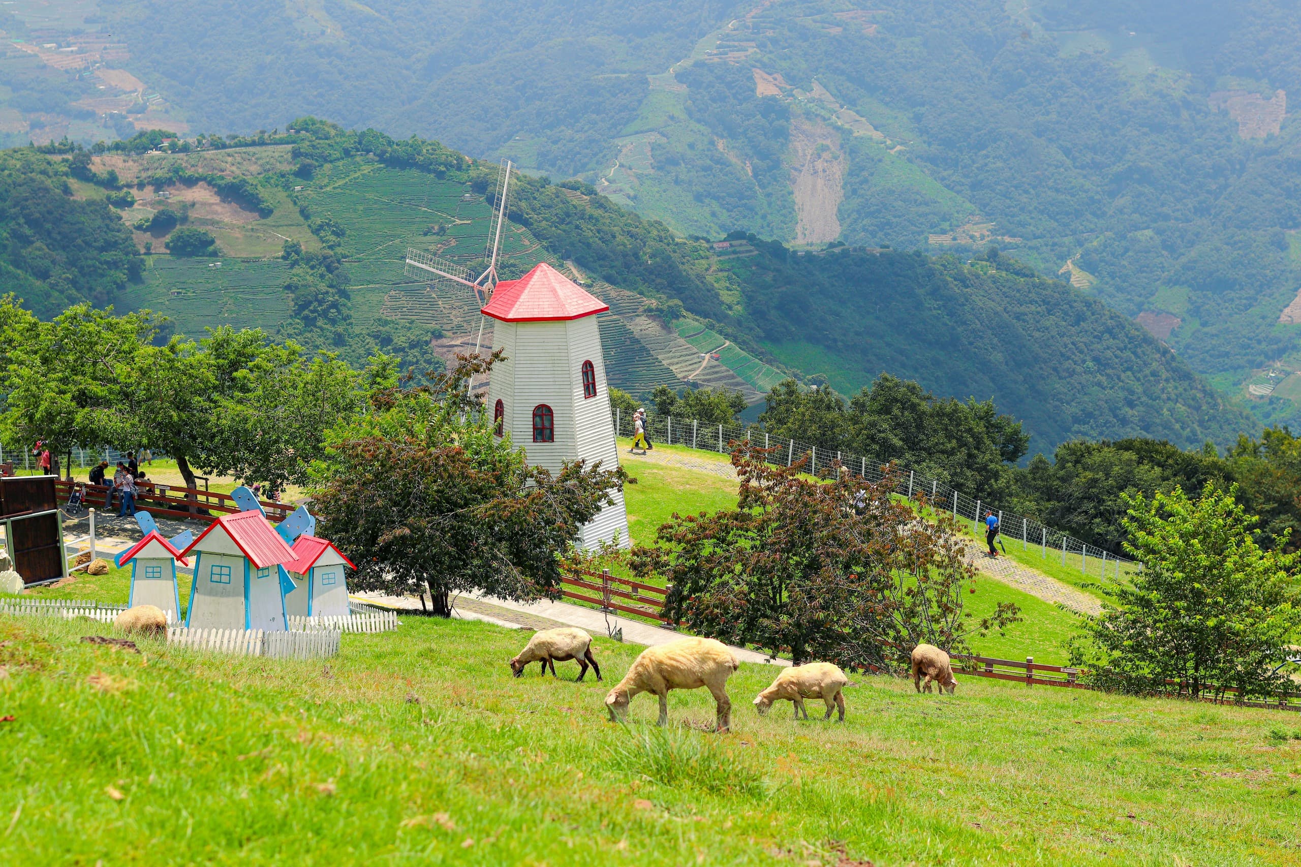 5D4N STEP INTO THE PICTURE - PERFECT HEART OF CENTRAL TAIWAN (TAIPEI/TAICHUNG/QINGJING)