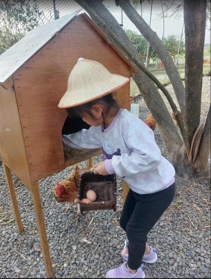 7D6N TAIWAN FUN & ADVENTURE TOUR~ TAIPEI /TAICHUNG /MIAOLI /KAOHSIUNG /CHANGHUA 