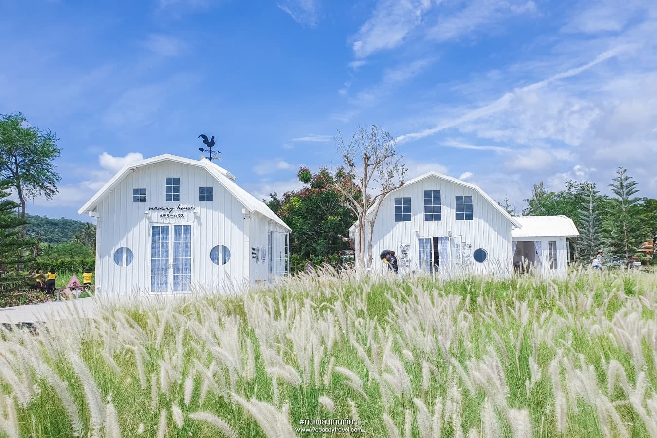 5D4N BANGKOK / HUA HIN