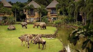 5D4N BALI+1 NIGHT STAY IN SAFARI PARK (BREAKFAST WITH LION)