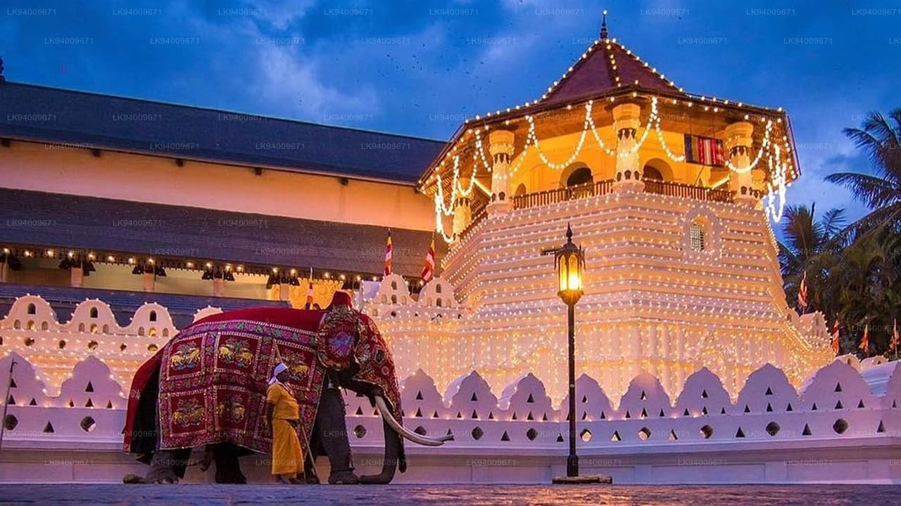 7D6N GRACIOUS OF SRI LANKA