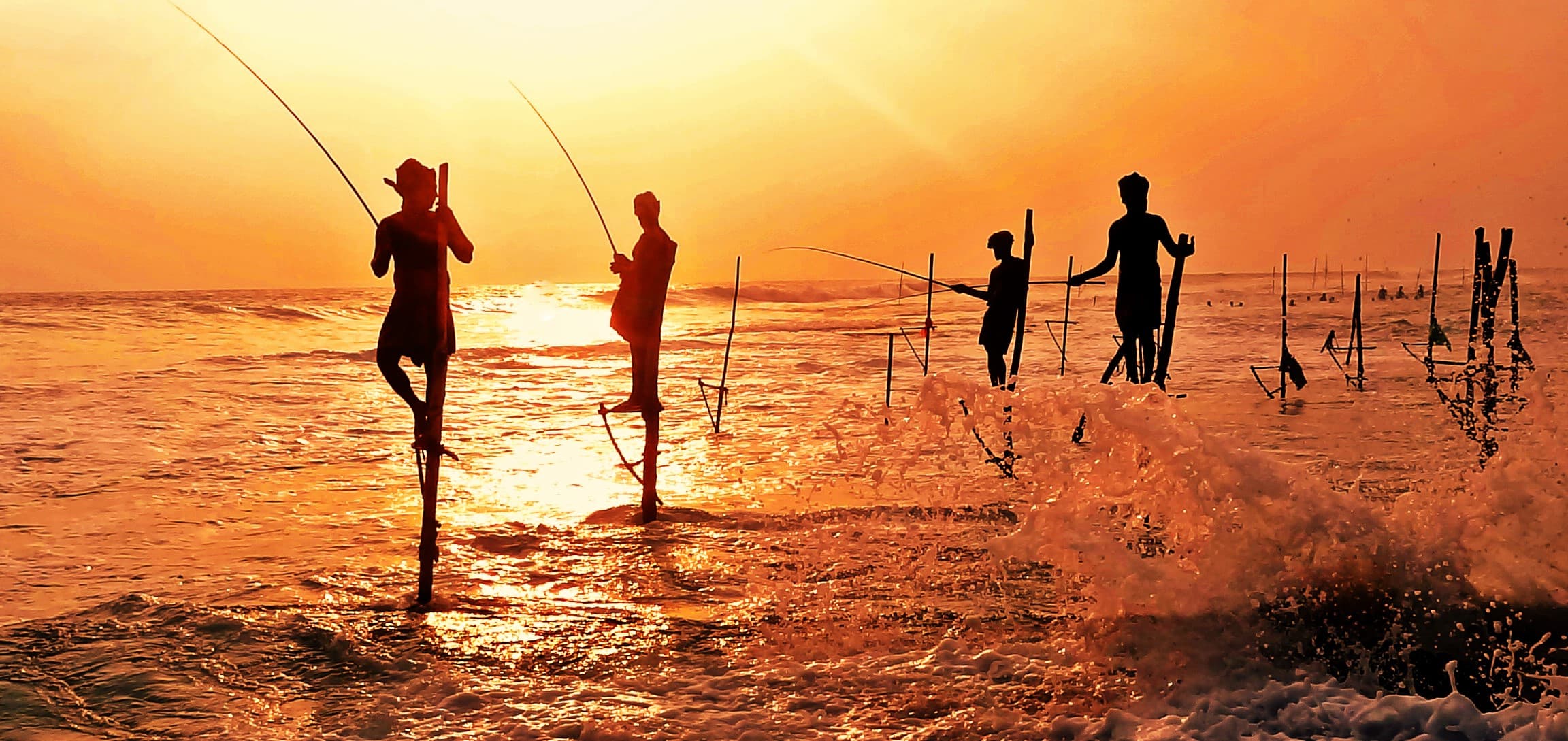 8D7N SRI LANKA SIGNATURE