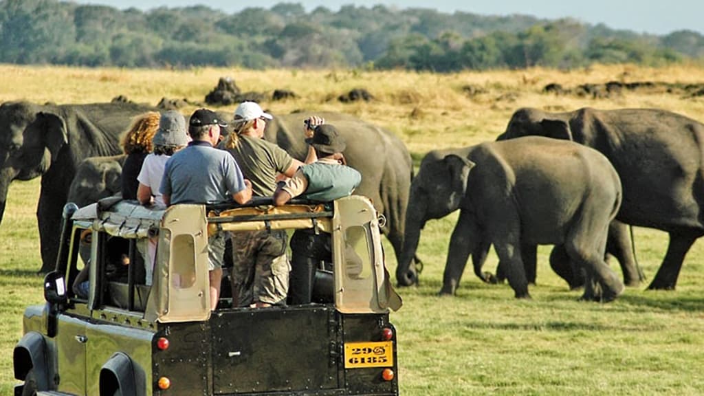 8D7N SRI LANKA SIGNATURE