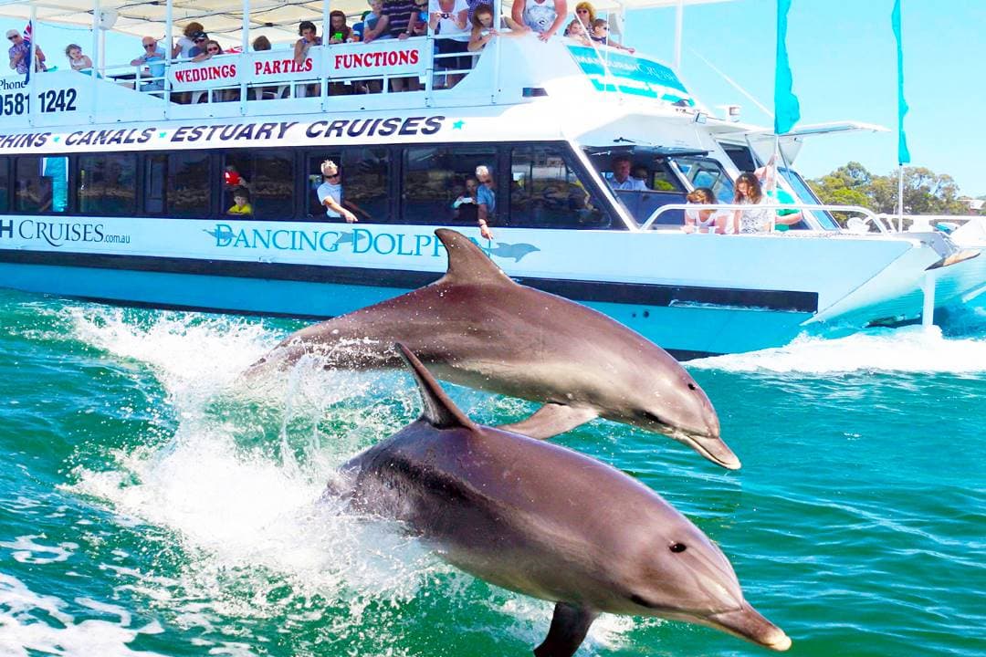 6D4N PERTH / MANDURAH DOLPHIN + 1 FREE DAY