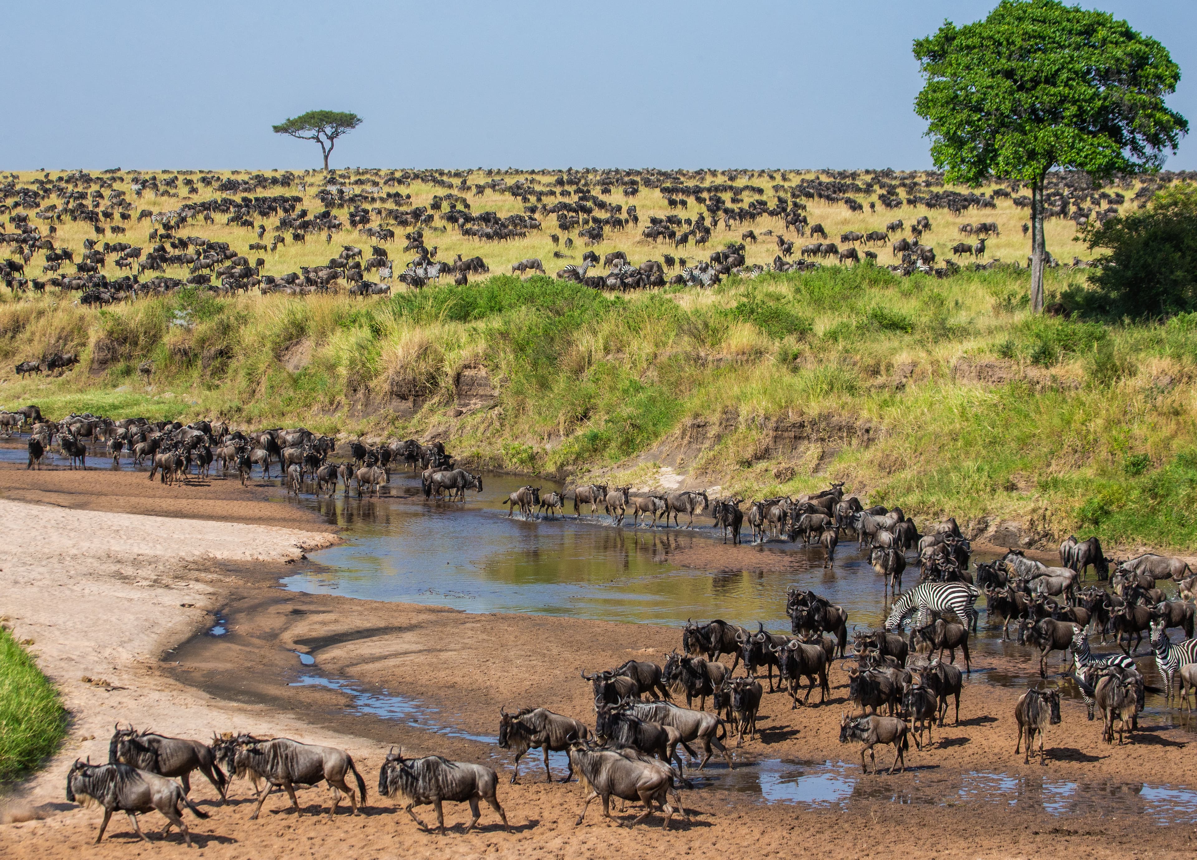 11D8N KENYA & TANZANIA – THE ULTIMATE AFICAN SAFARI 