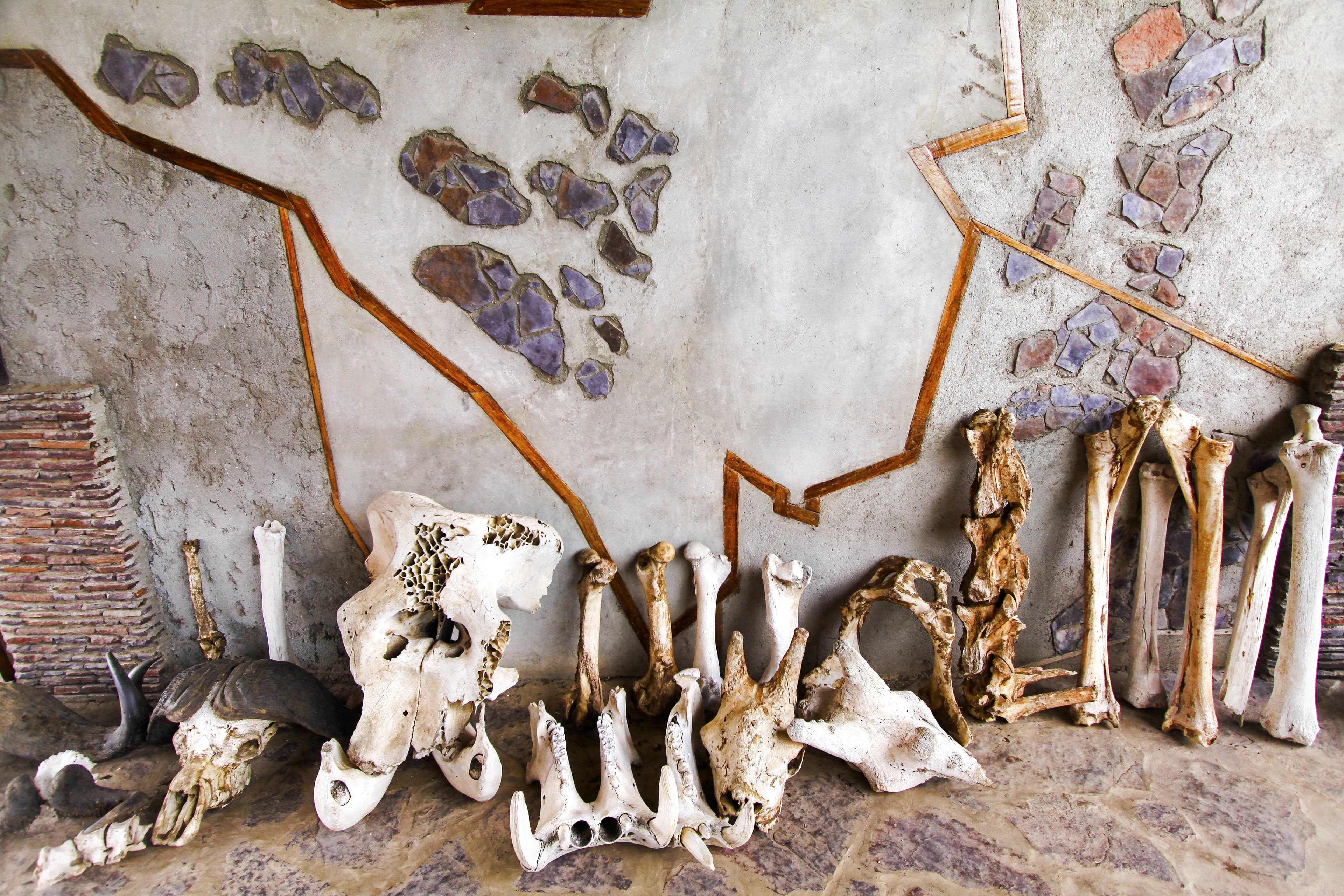 9D6N KENYA  – THE MAGICAL OF AFRICAN SAFARI   THE GREATEST SHOW ON EARTH