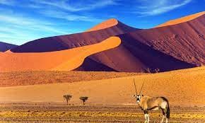 10D7N BEST OF NAMIBIA + VICTORIA FALLS (Namibia, Zimbabwe, Zambia) 