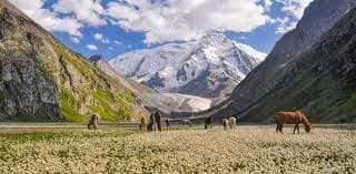 11D9N MYSTERIOUS CENTRAL ASIA~ UZBEKISTAN, KYRGYZSTAN AND KAZAKHSTAN