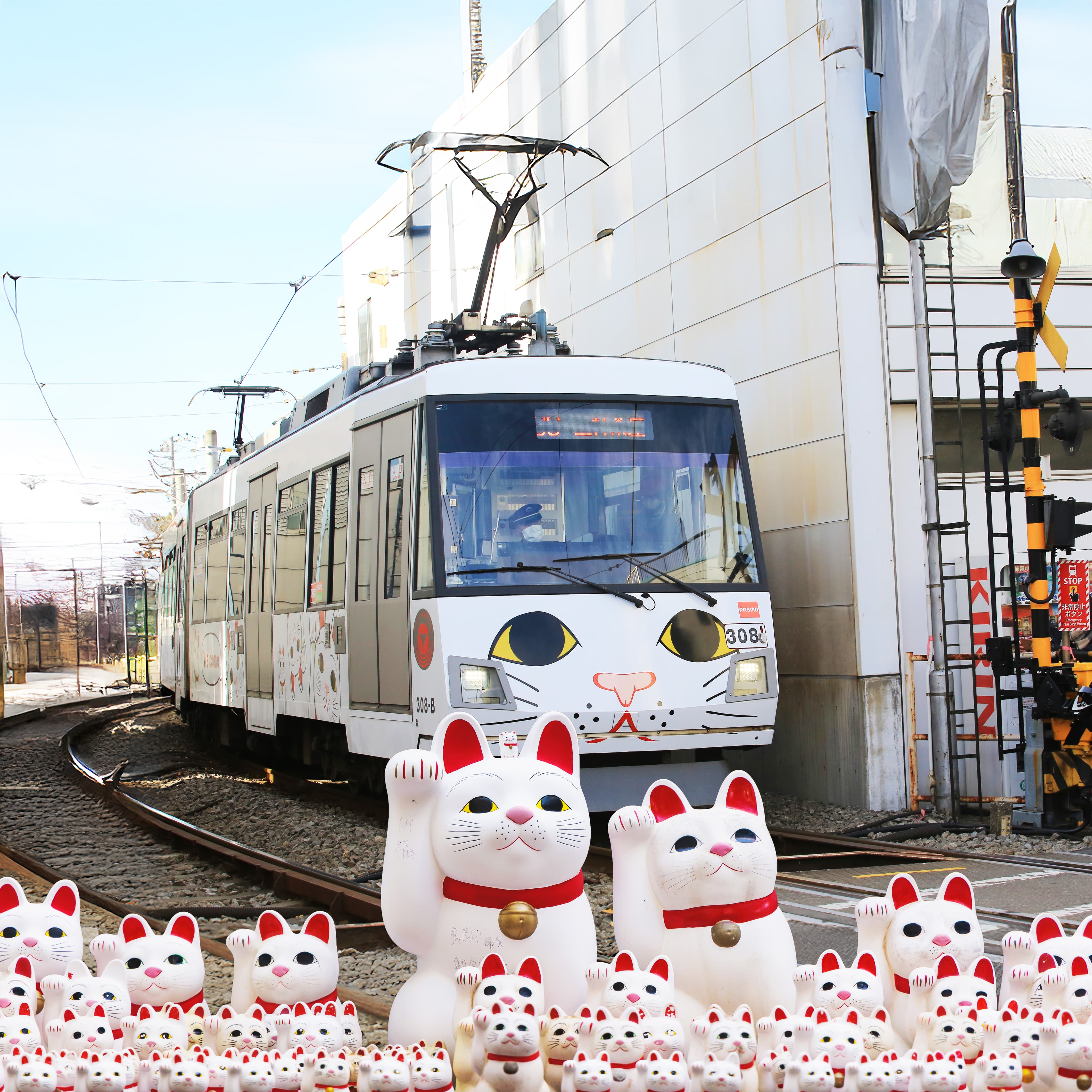 7D5N TOKYO / MT. FUJI / CHIBA + 01 FREE DAY