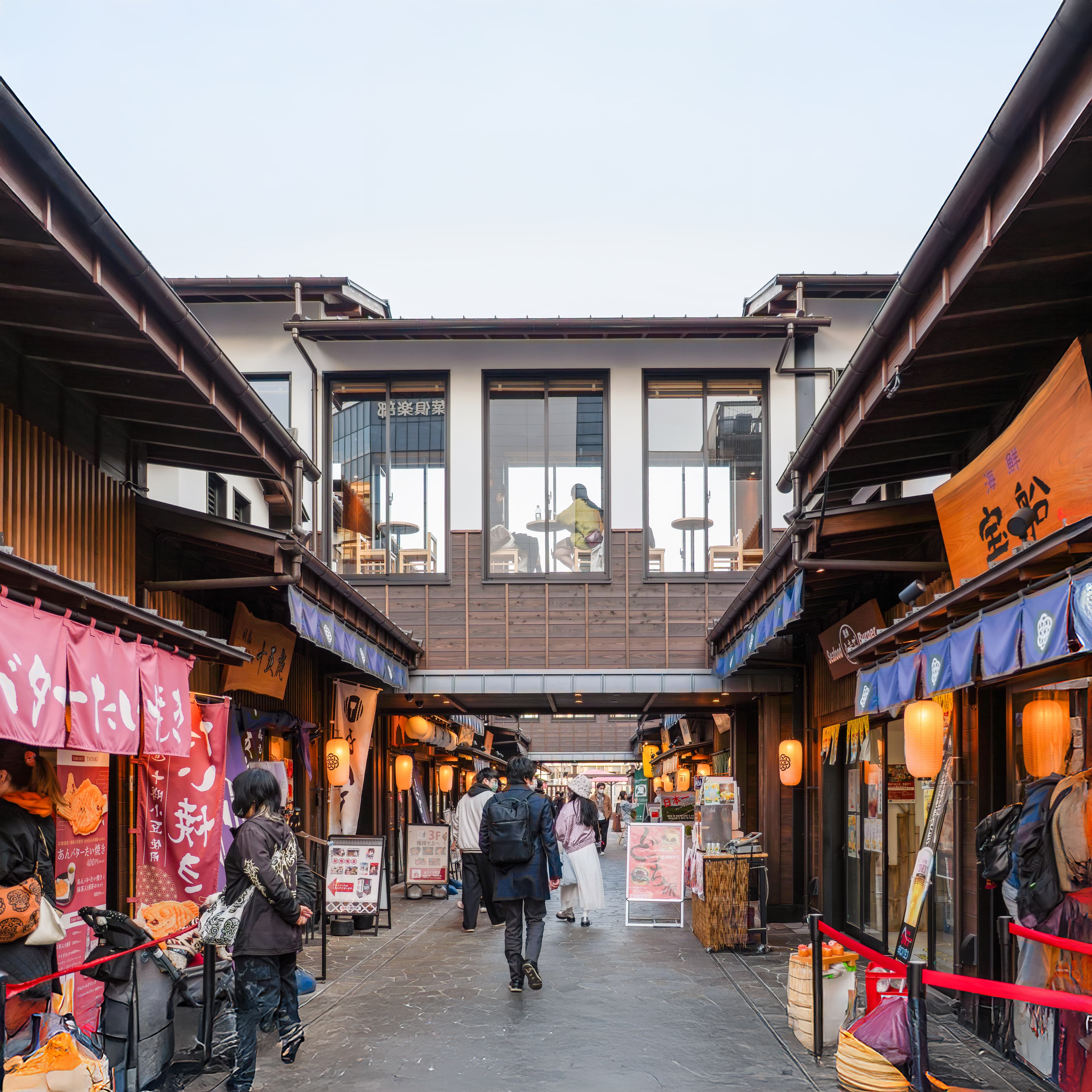 7D5N TOKYO / MT. FUJI / CHIBA + 01 FREE DAY