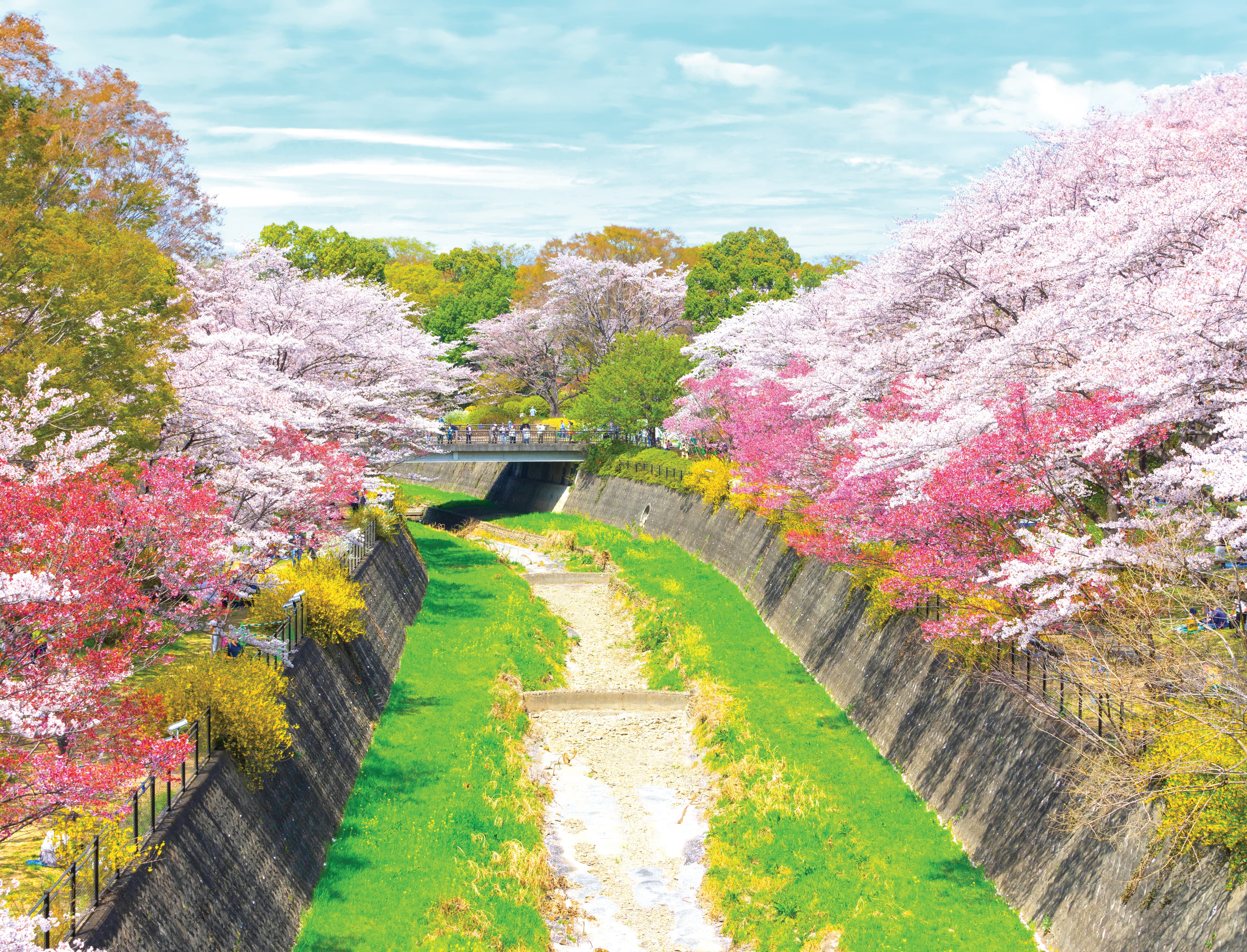 7D5N TOKYO/HAKONE/KAWAGOE (ARAKURA FUJI SENGEN SHRINE/SHOWA KINEN PARK/CHIDORIGAFUCHI PARK)