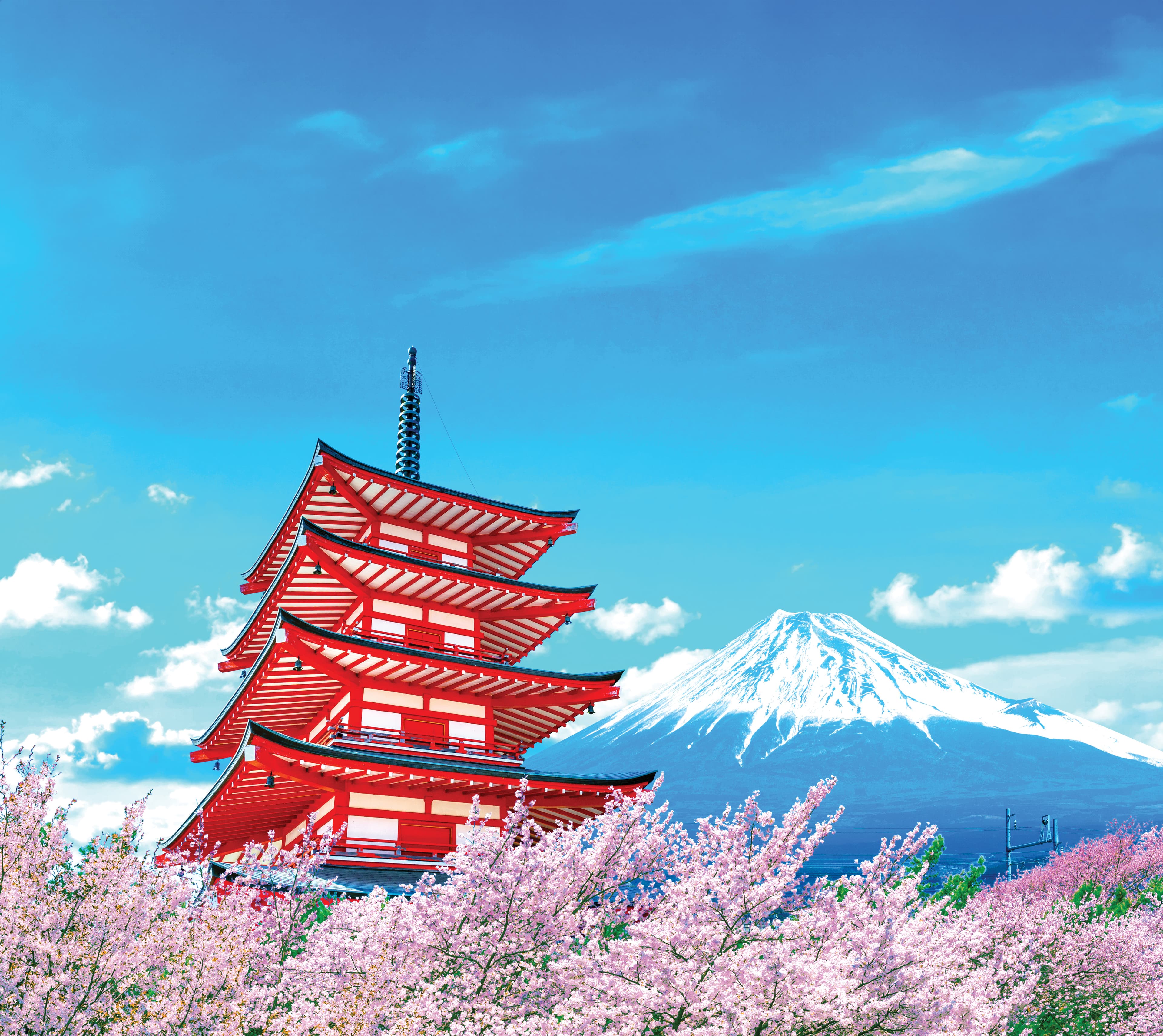 7D5N TOKYO/HAKONE/KAWAGOE (ARAKURA FUJI SENGEN SHRINE/SHOWA KINEN PARK/CHIDORIGAFUCHI PARK)