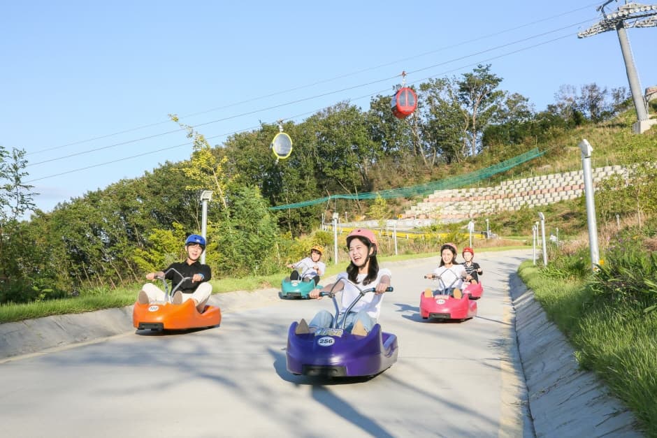 8D6N SEOUL/GANGHWA ISLAND/GYEONGGI-DO/INCHEON (EVERLAND/SEASIDE RAILBIKE/SUWON STARFIELD LIBRARY)