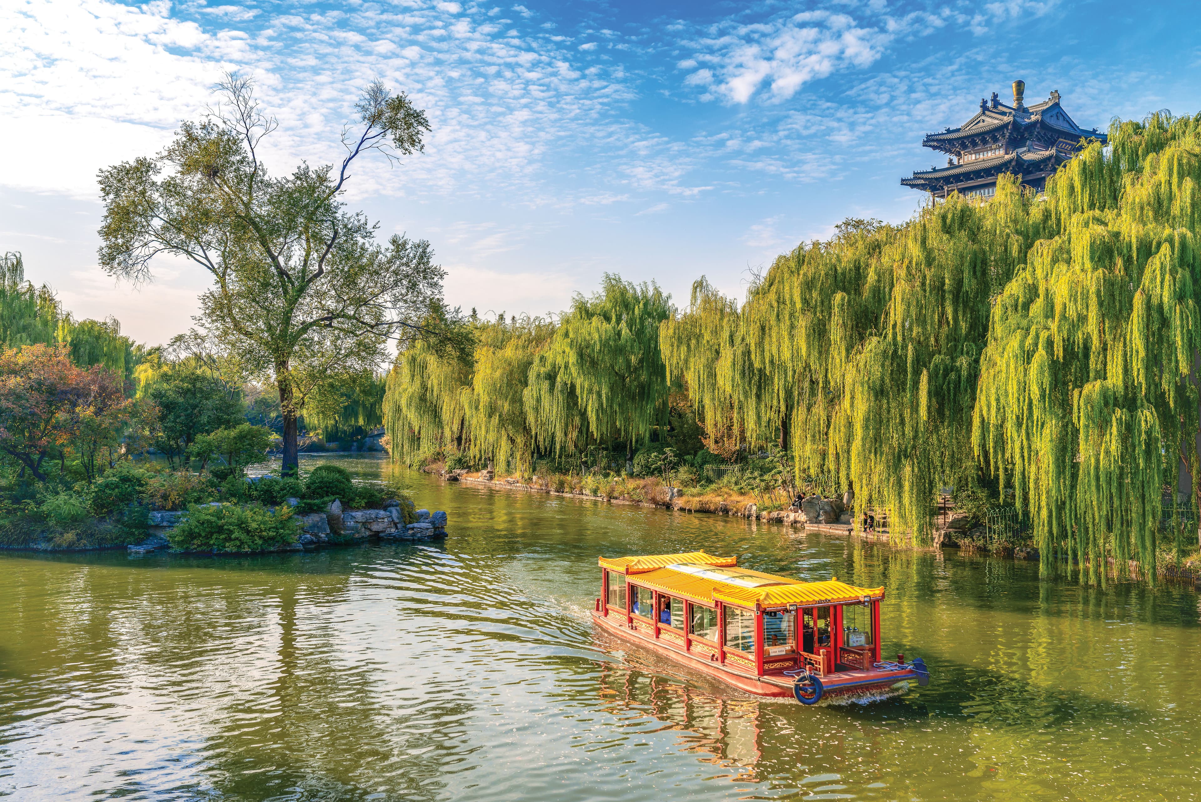 8D7N SHANDONG IN BLOOM (QINGDAO / YANTAI / PENGLAI / WEIFANG / JINAN)