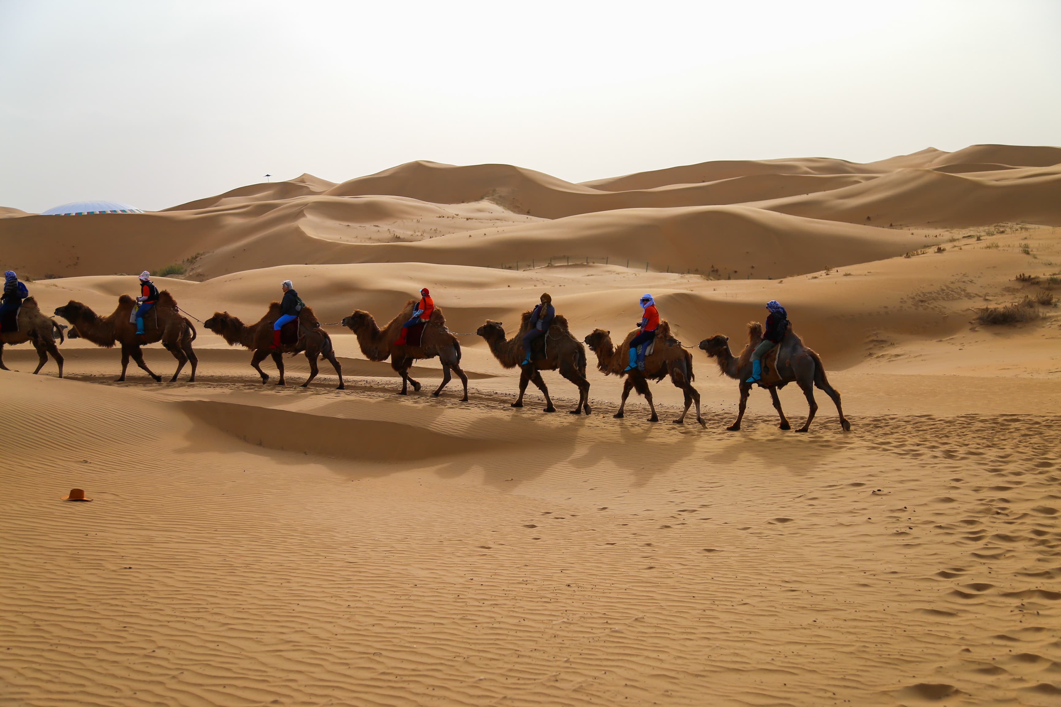 8D6N SHANXI INNER MONGOLIA (DATONG / NINGWU / LAONIUWAN / WHISTLING DUNE BAY / XILAMUREN GRASSLAND)