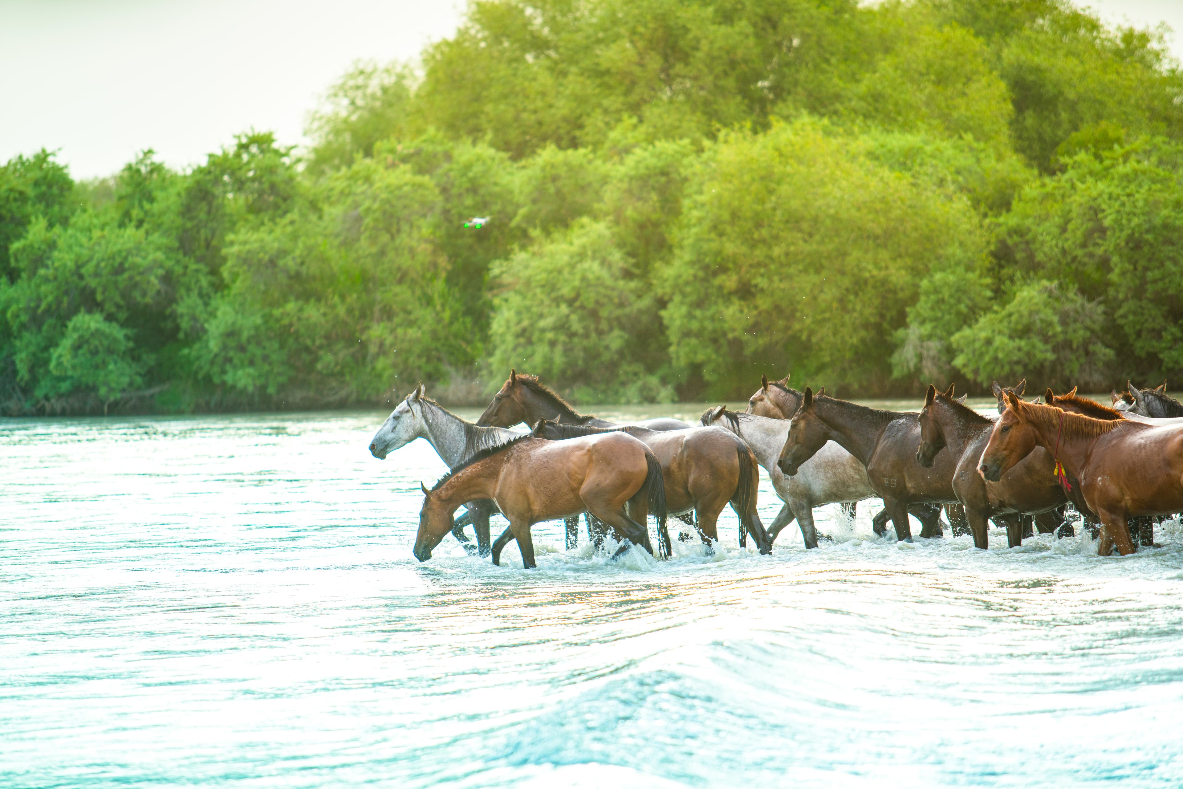 9D7N NORTHERN XINJIANG/URUMQI/KEKETUOHAI/BURQIN/HEMU/KANAS/KARAMAY/DUSHANZI