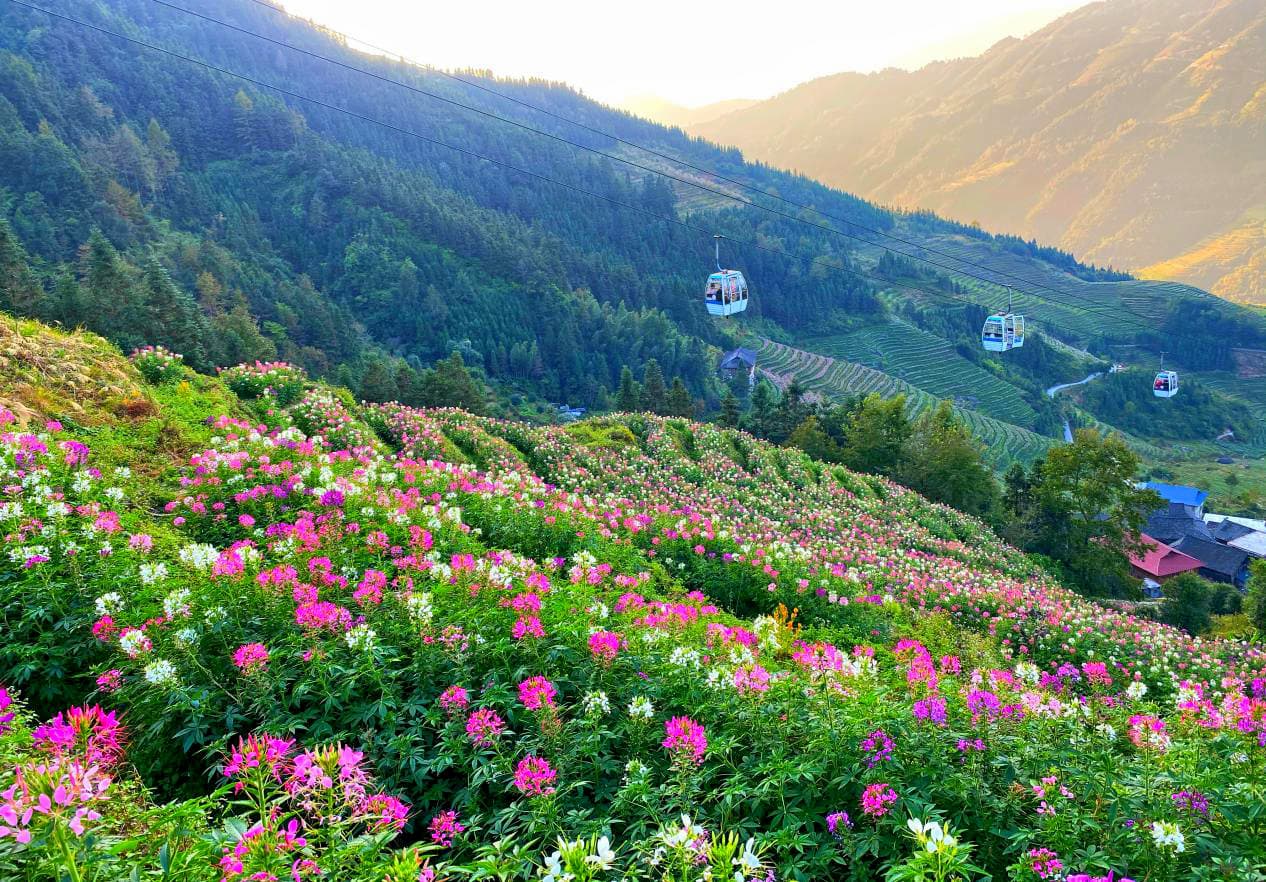 8D6N GUILIN/YANGSHUO/SANJIANG/LONGSHENG/GUANGZHOU