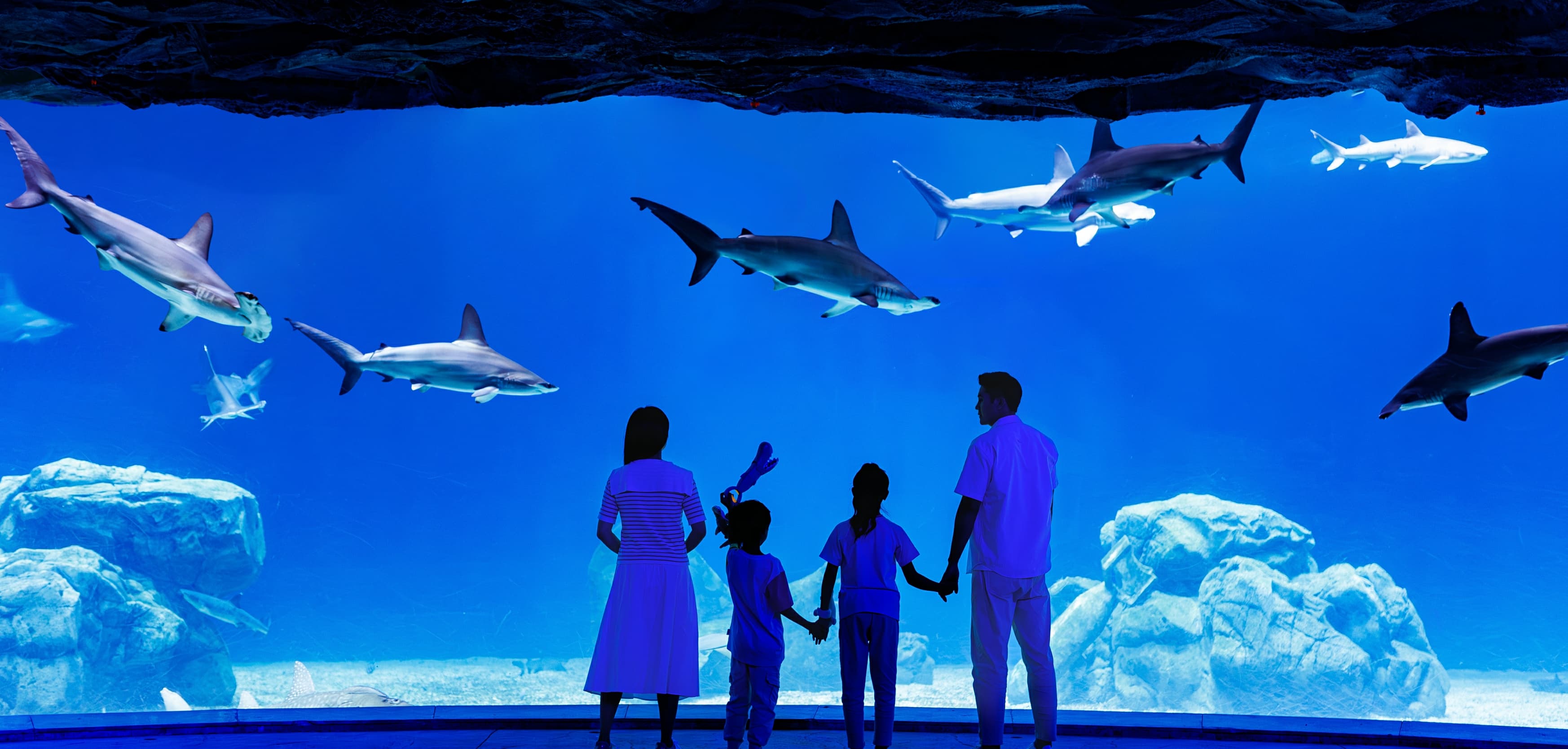 5D4N AMAZING KID FUN+CHIMELONG SPACESHIP PARK (ZHUHAI/MACAO)