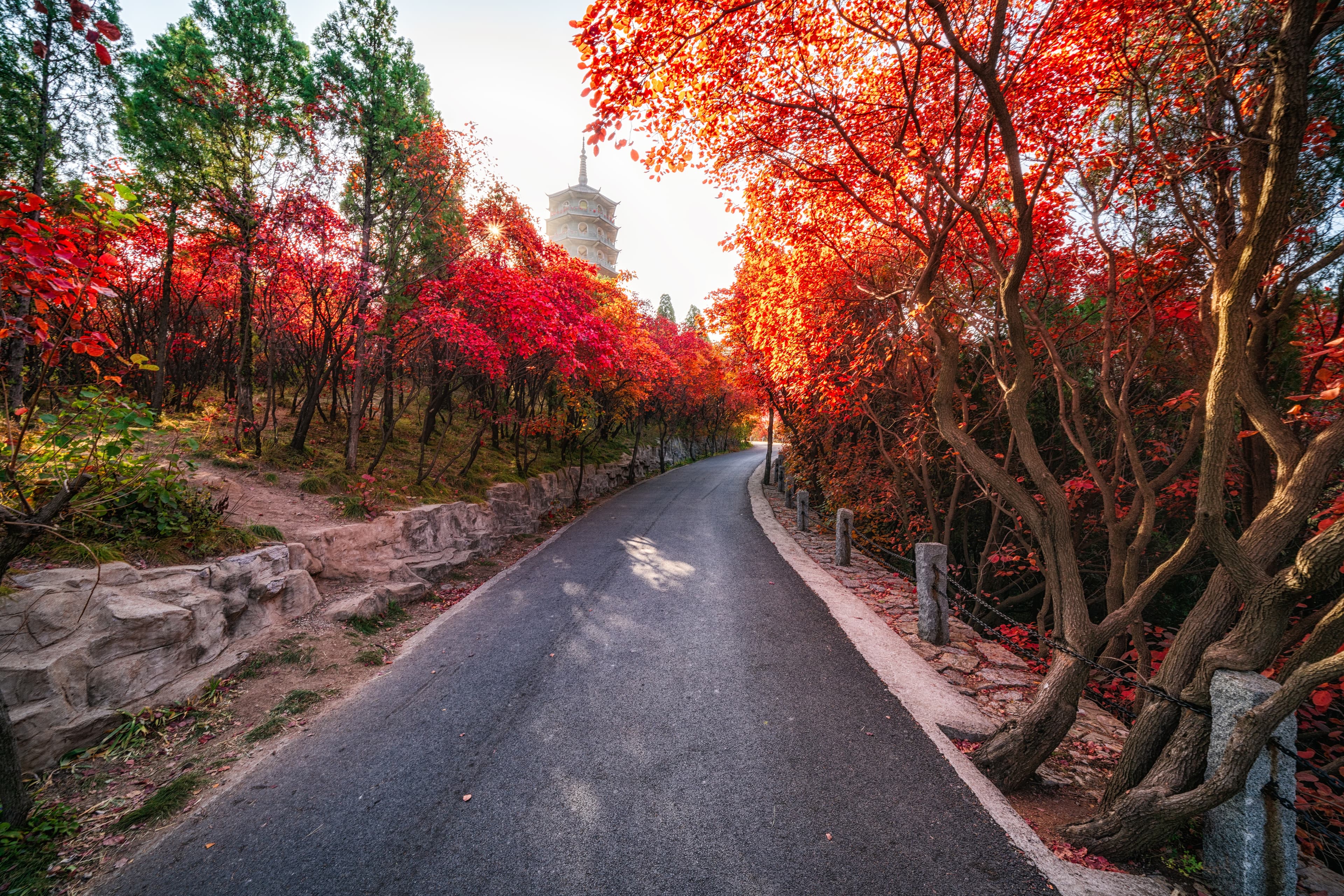 8D6N QINGDAO/YANTAI/PENGLAI/WEIFANG/ZIBO/ZHANGQIU